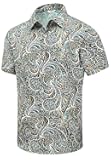 Hawaiian Shirt for Men, Unisex Summer Beach Casual Short Sleeve Button Down Shirts, Printed Palmshadow Clothing
