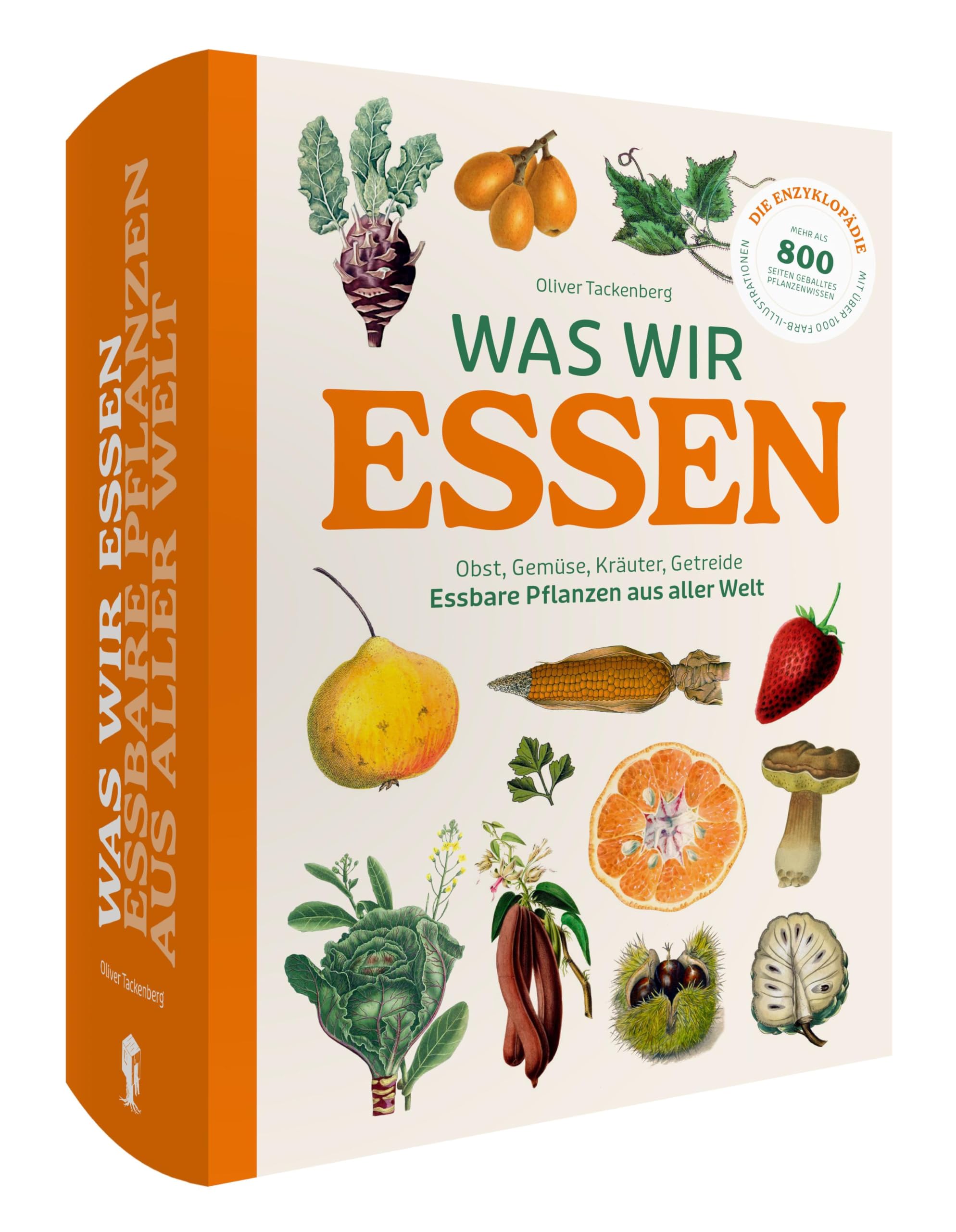 Was wir essen: Obst, Gemüse, Gewürze, Kräuter und Grundnahrungsmittel. Essbare Pflanzen aus aller Welt