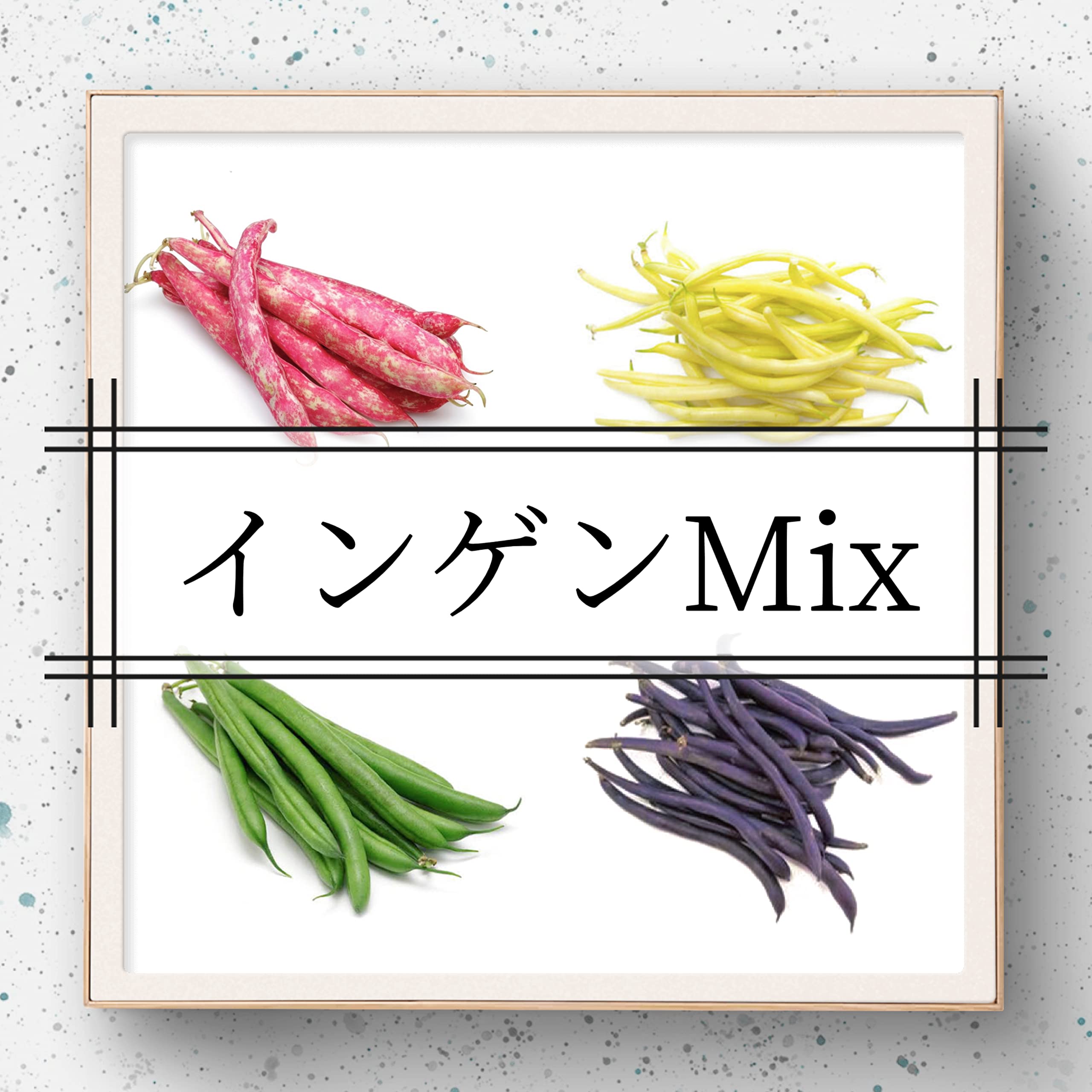 豆の種　　　緑色・紫点 確認中 豆の種 緑色・紫点 確認中 種・種子