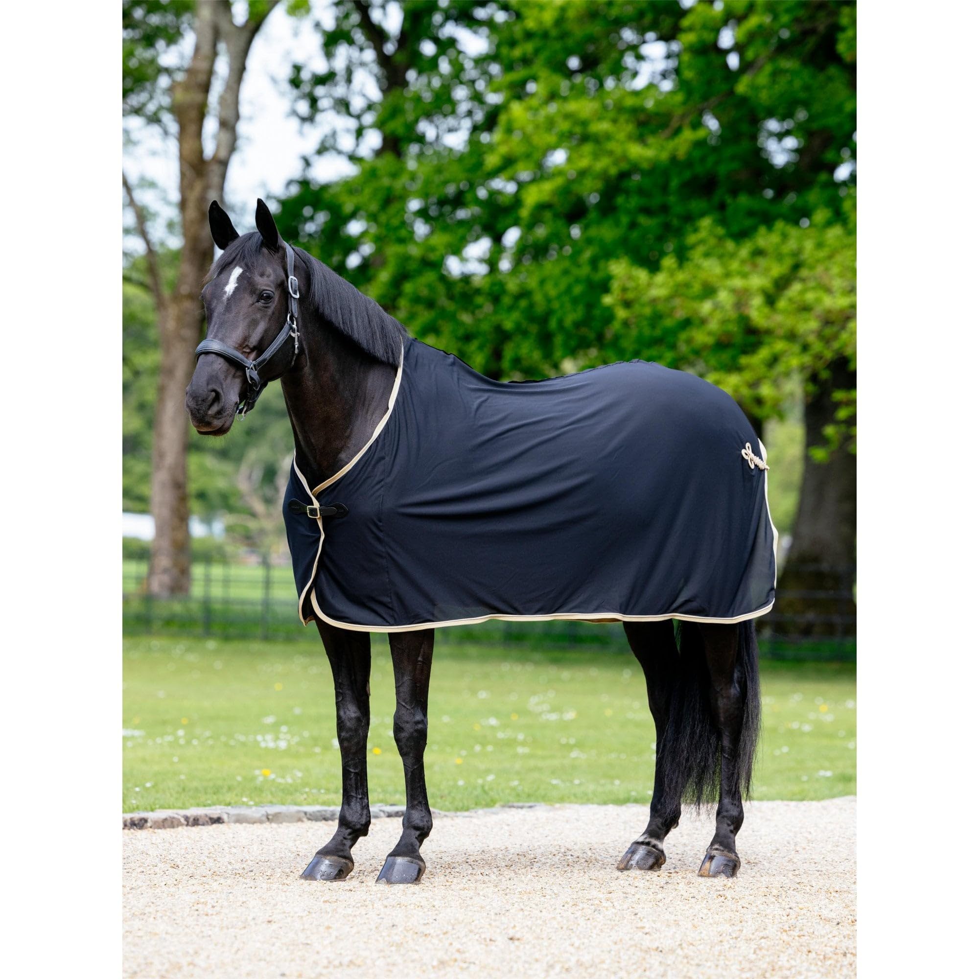 LeMieux Lightweight Mesh Scrim Horse Rug - Black 6ft0