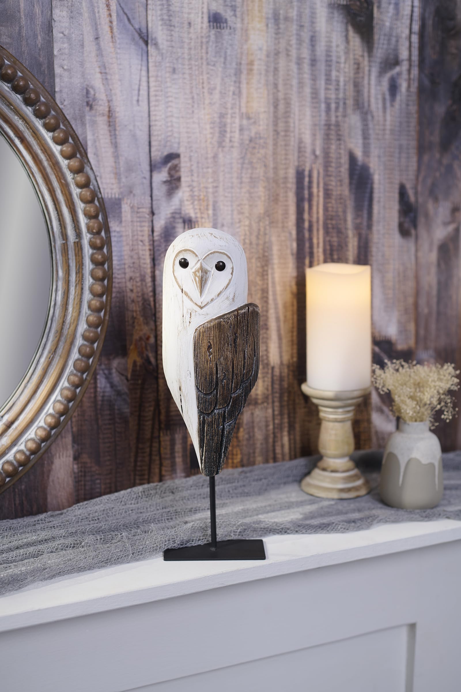 Amazon.com: Primitives by Kathy Sitter - Barn Owl, from Our