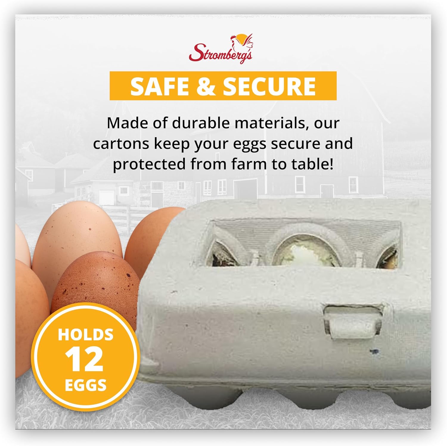 Stromberg's Large Blank Egg Cartons, Bulk Pack for Large Eggs, Perfect for Custom Branding, Safe & Secure Egg Storage, Convenient Stacking for Easy Transport, 125 Pack