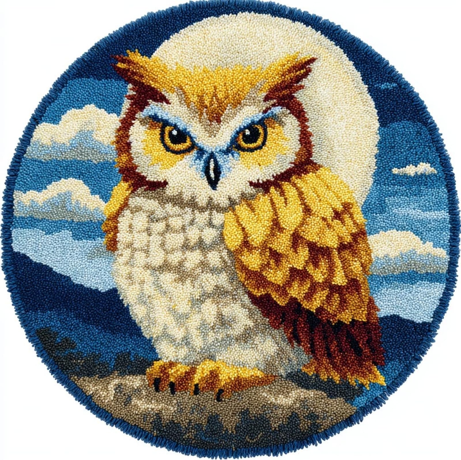 WallustrioaW Latch Hook Rug Carpet Kits for Adult,Owl on a Branch,DIY Latch Hook Rug Kits with Pre-Printed Pattern,Carpet Handcraft Embroidery for Christmas,50x50cm