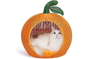 Pumpkin Cat Bed: Cozy Haven for Your Feline Friend