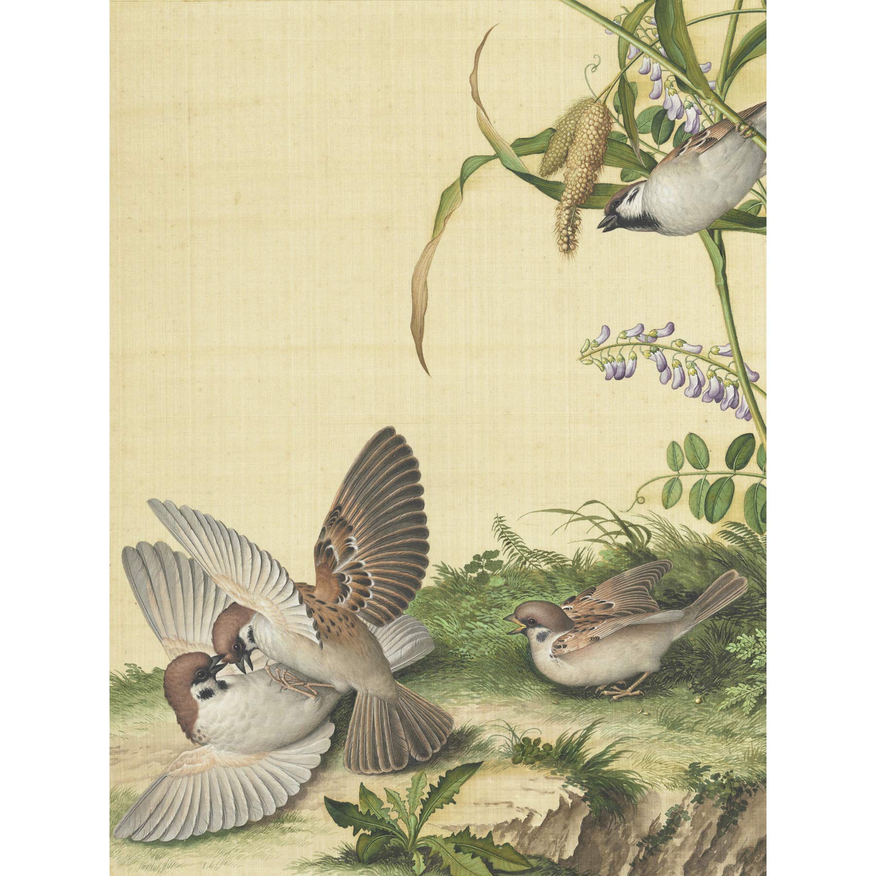Castiglione Wisteria Plant Birds Painting Large Print Poster Wall Art Decor Picture
