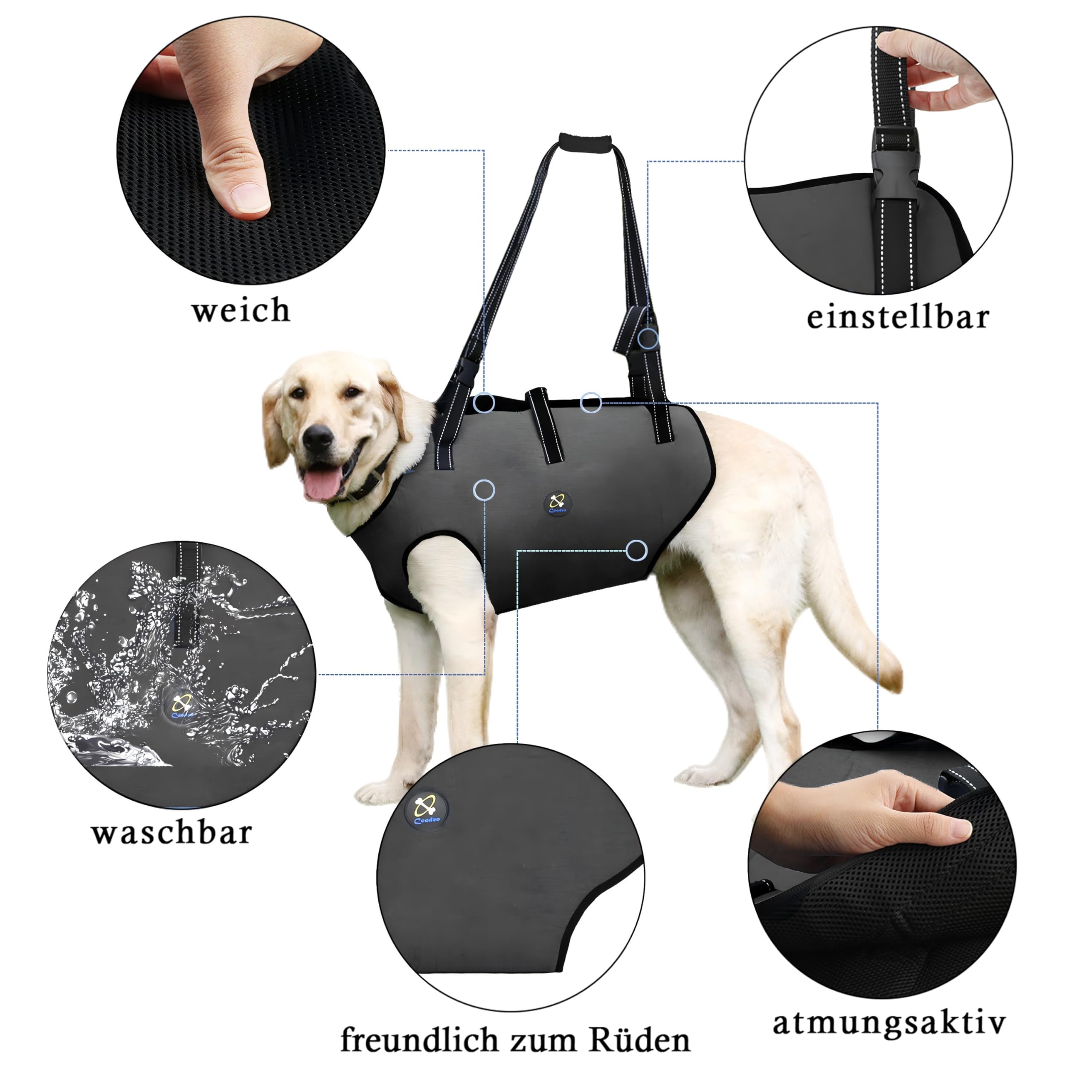Coodeo Hundeliftgeschirr, Haustierunterstützung & Rehabilitation Sling Lift Verstellbare Gepolsterte atmungsaktive Gurte für Alt, Gelenkverletzungen, Arthritis, Stabilitätsverlust Hunde(Schwarz, 2XL)