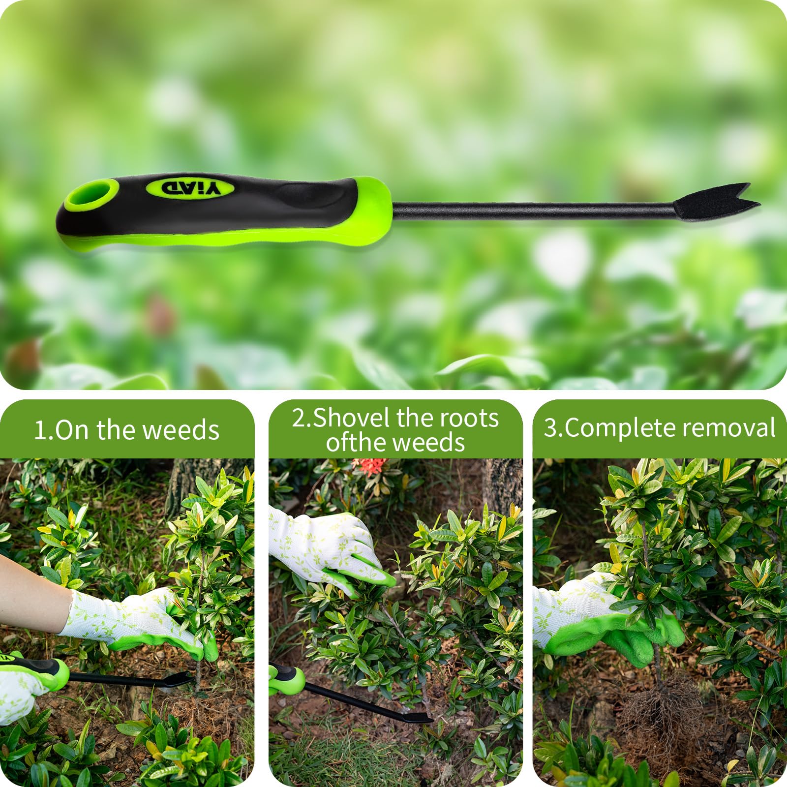 Hand Weeder Tool - Root Removal -6