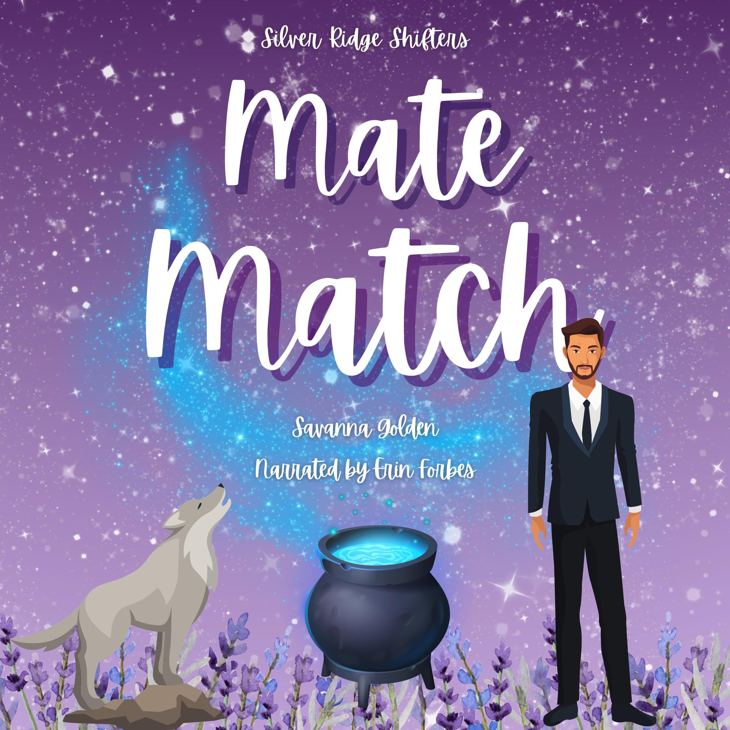 Cover art for Mate Match: Silver Ridge Shifters, Book 1