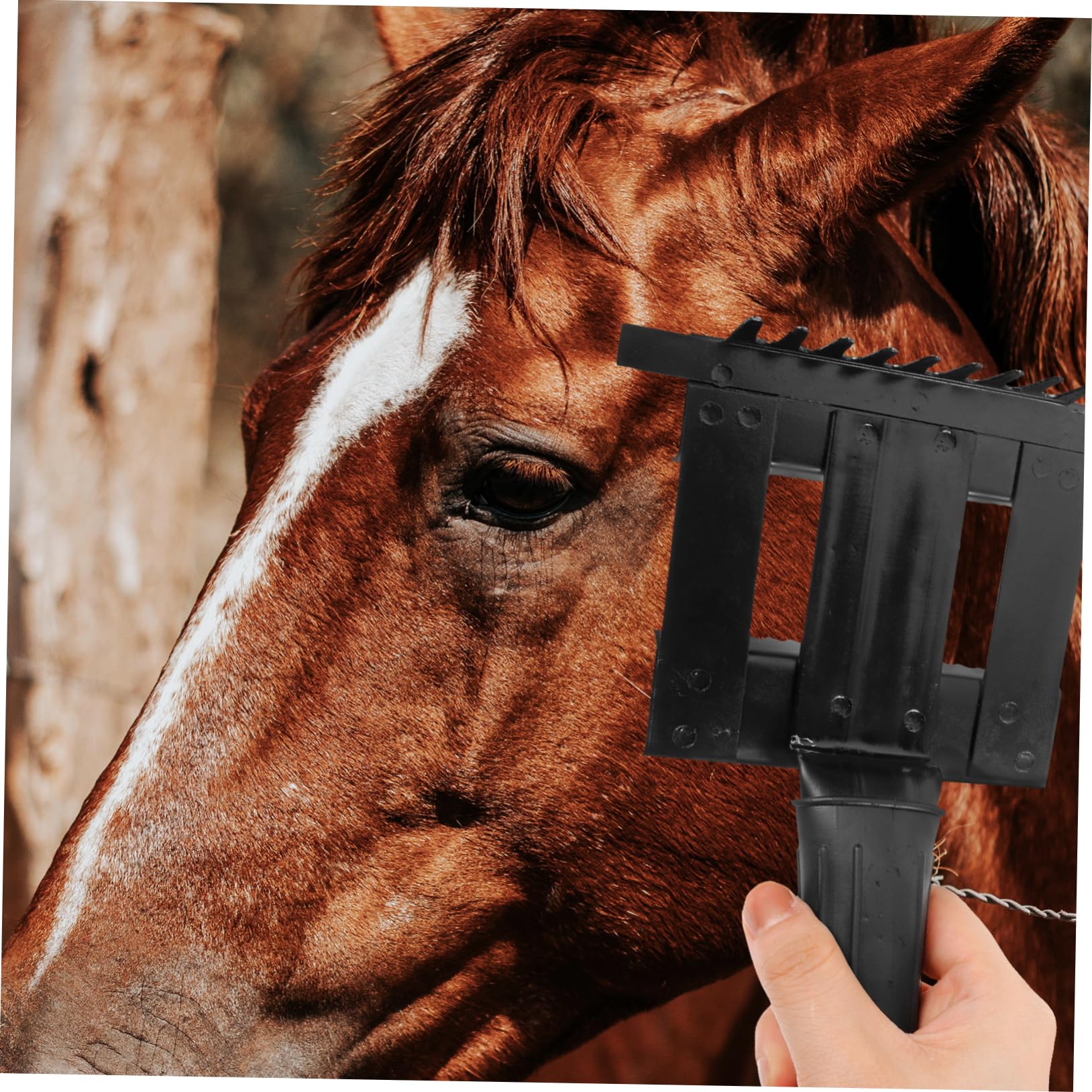 Sosoport 5piezas Peine De Limpieza Para Caballos Cepillo Ergonómico Para Deshedding y Cuidado De Mascotas Herramienta De Aseo Práctica y Duradera Para Eliminar Pelo y Suciedad