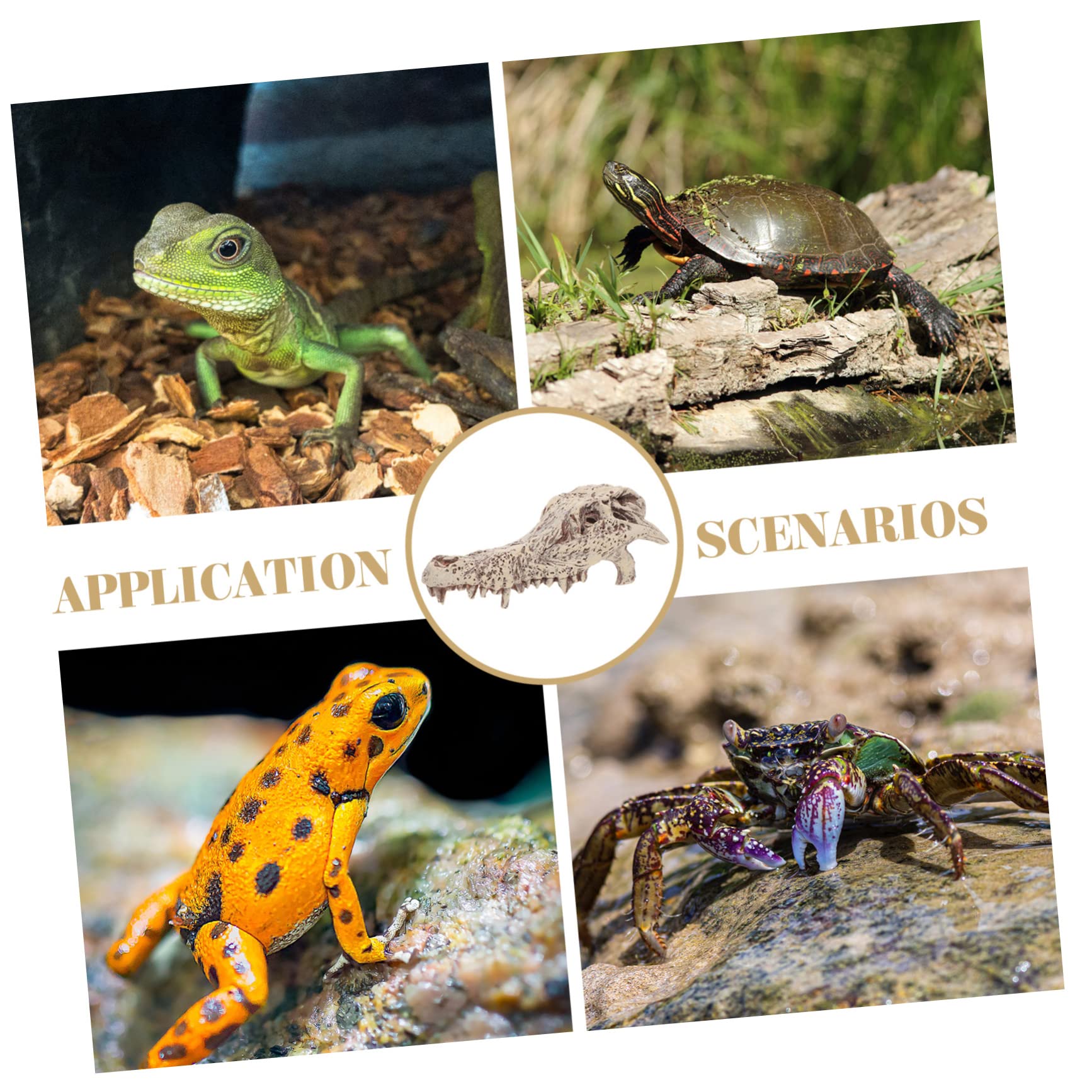 Décoration D’Aquarium Crâne en Résine Blanc pour Reptiles et Tortues | Halloween, Cachette et Escalade, Aspect pour Terrarium, Modèle Unique au Rendu Vivant