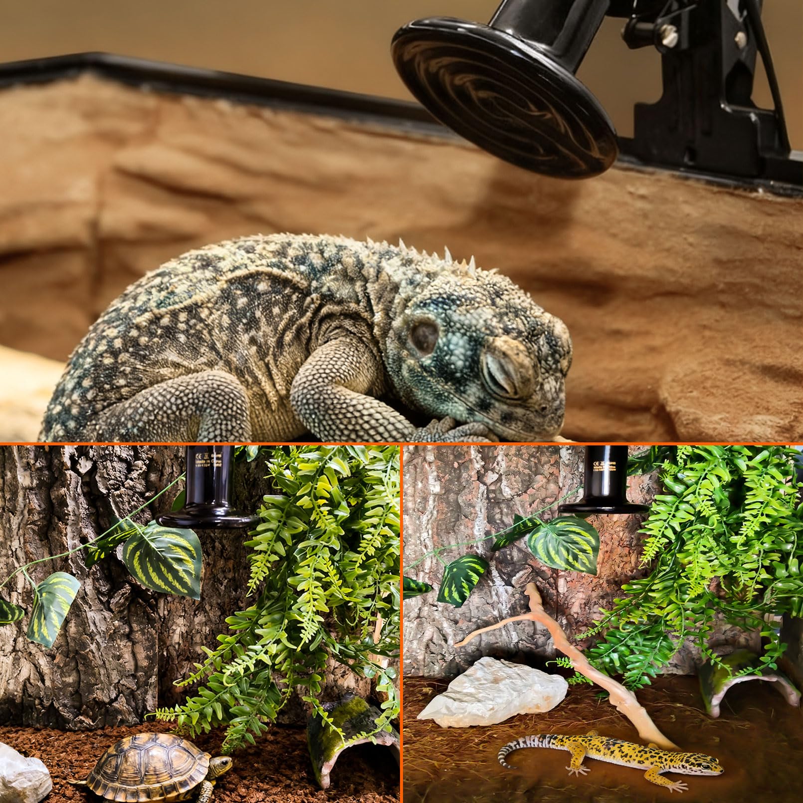 BNOSDM Reptile 150W Ceramic Heat Emitter,4 Pack Reptiles Heat Lamp Bulbs,Brooder Coop Heater Lamp Bulb for Amphibian Reptiles Turtle Lizard Chicken - image 7