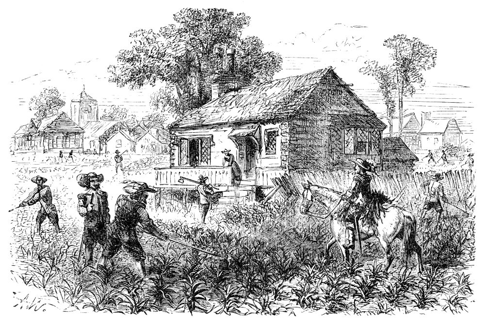 Amazon.com: Tobacco Plantation Nthe Cultivation Of Tobacco In 17Th Century  Virginia Line Engraving 19Th Century Poster Print by (18 x 24): Posters &  Prints