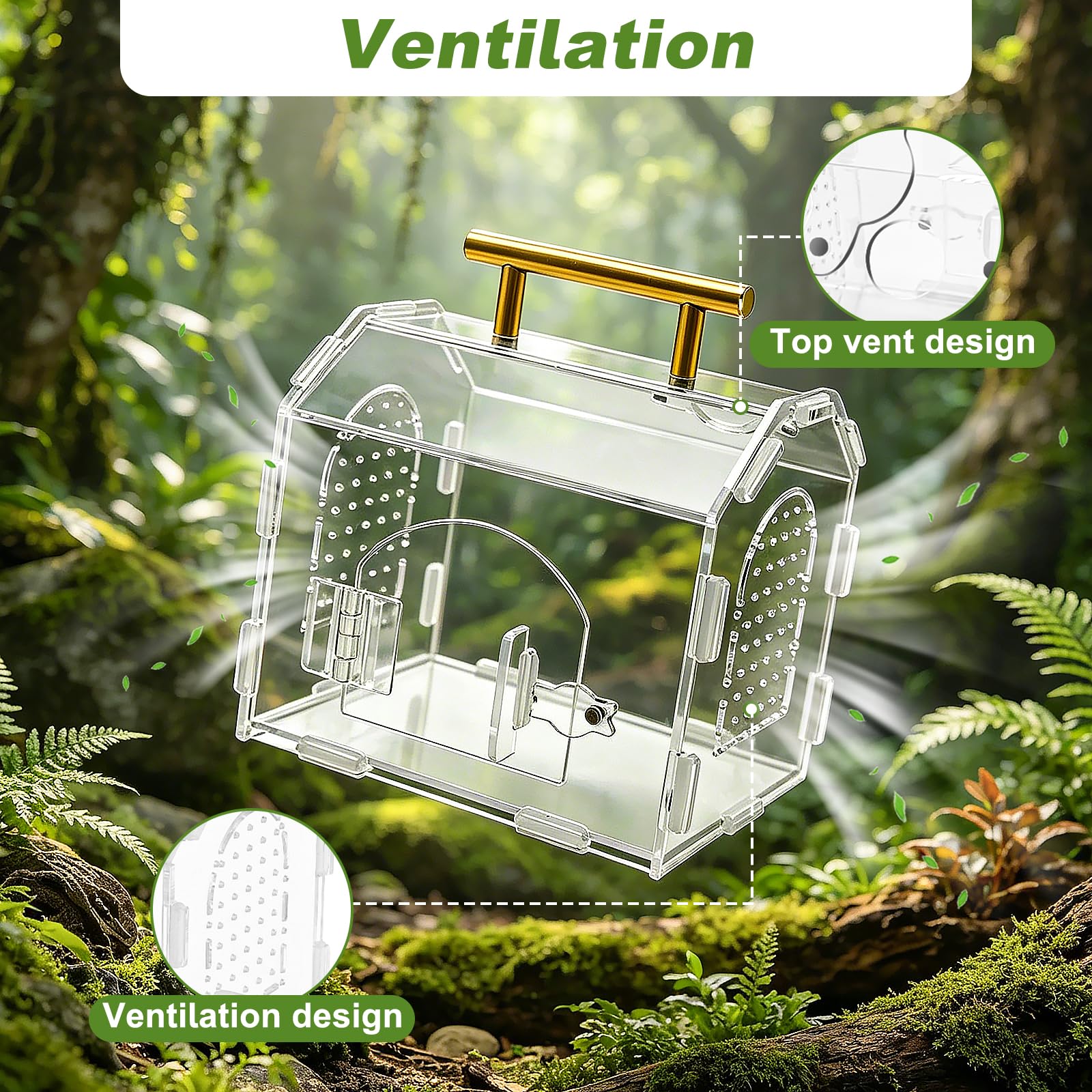 Terrario Acrílico Portátil con Cierre Magnético y Asa - Terrario Reptiles Transparente con Ventilación Superior y Funda de Goma Desmontable, Ideal para Araña Saltarina