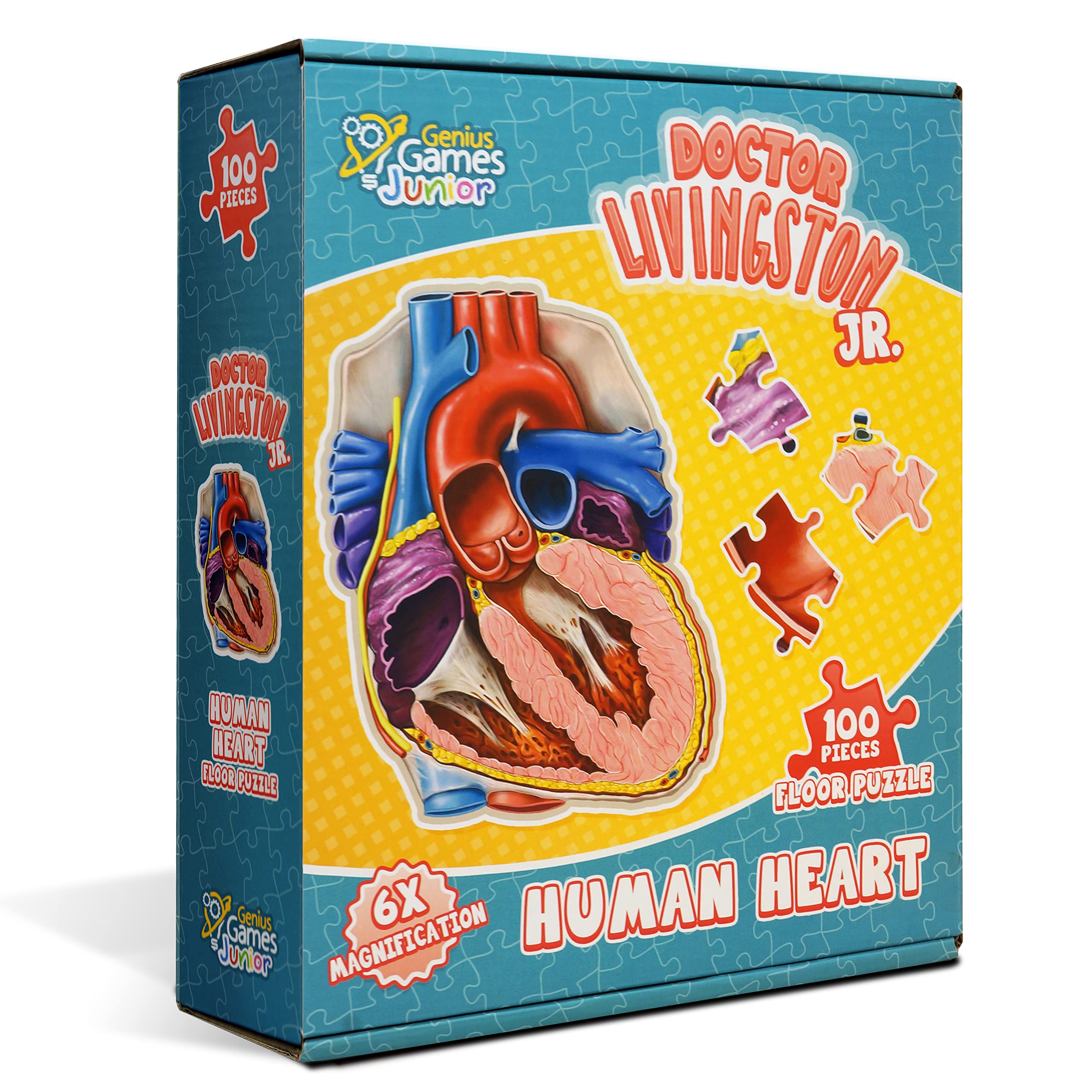 Buy Human Heart Anatomy Floor Puzzle — Genius Games Doctor Livingston
