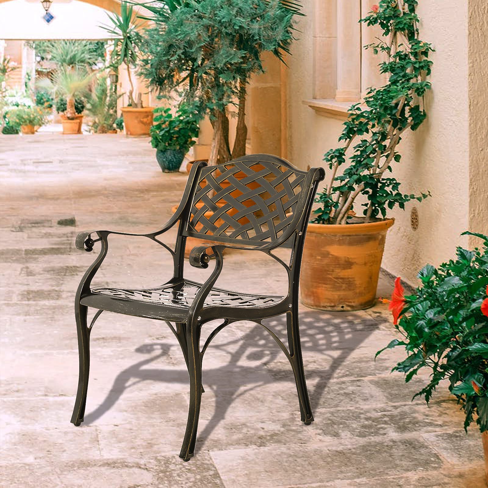 Buy MEETWARM 2 Piece Patio Dining Chairs, Outdoor AllWeather Cast