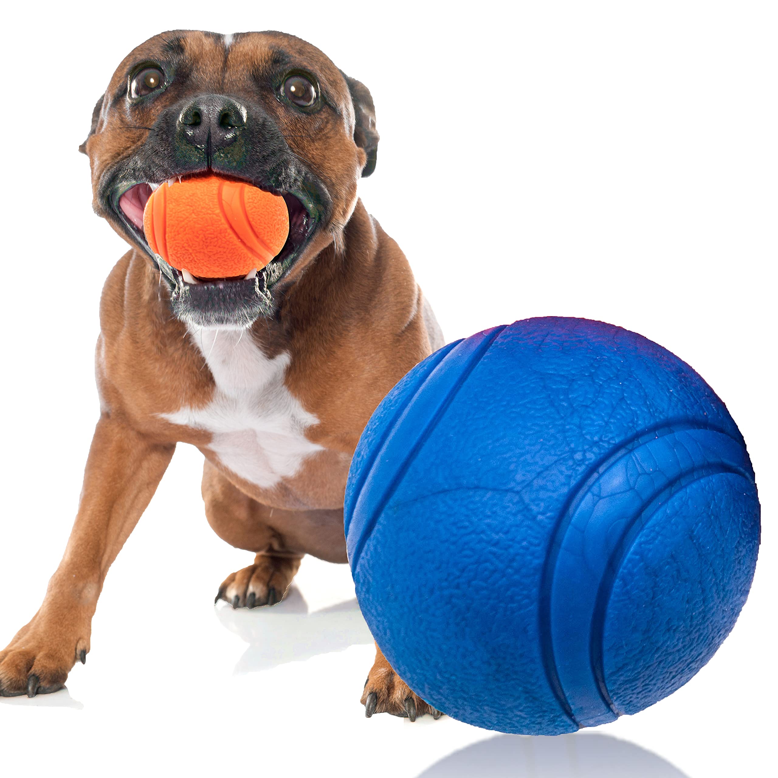 Petopedia 1x Solid Core, HIGH BOUNCING Rubber Ball, Interactive