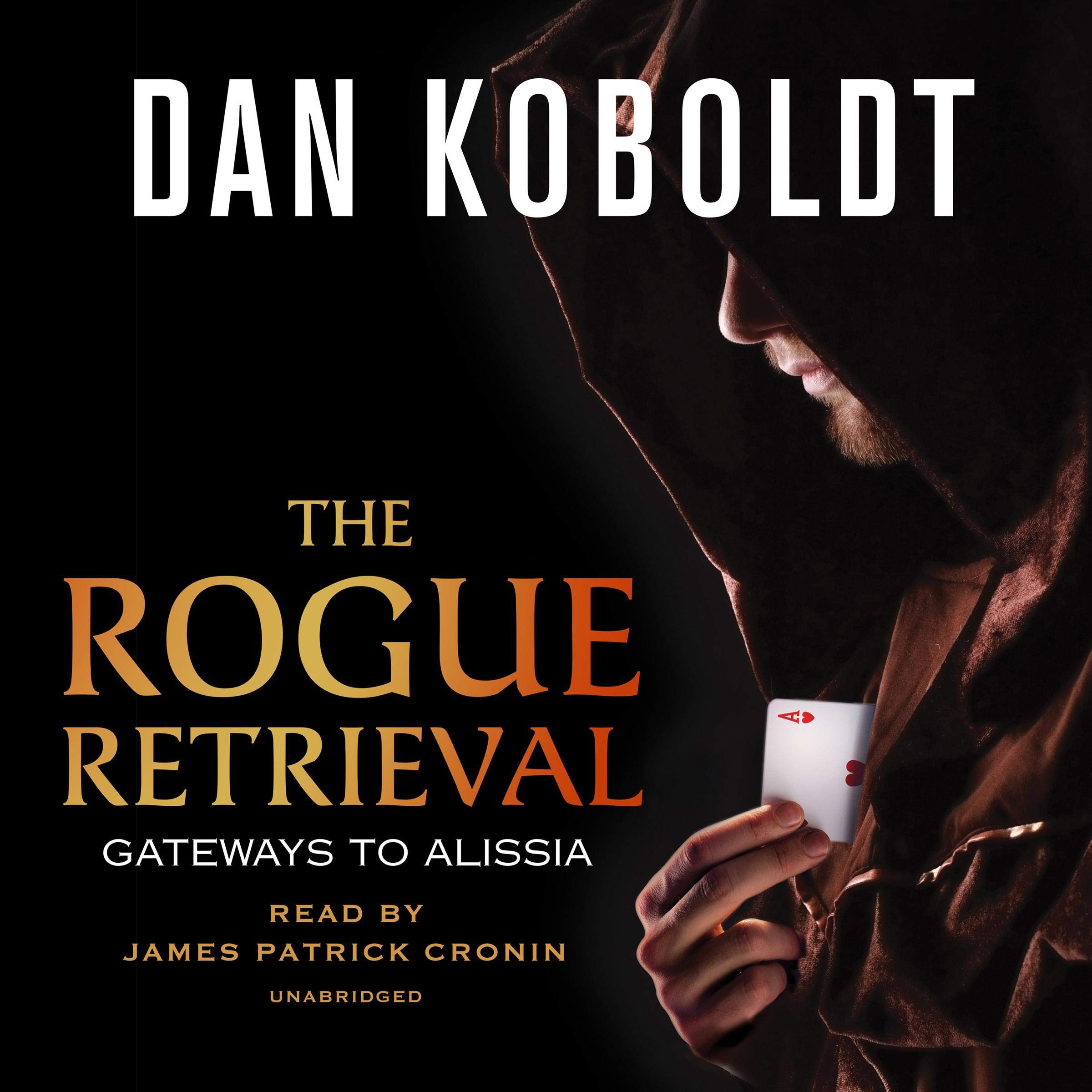 Cover art for The Rogue Retrieval