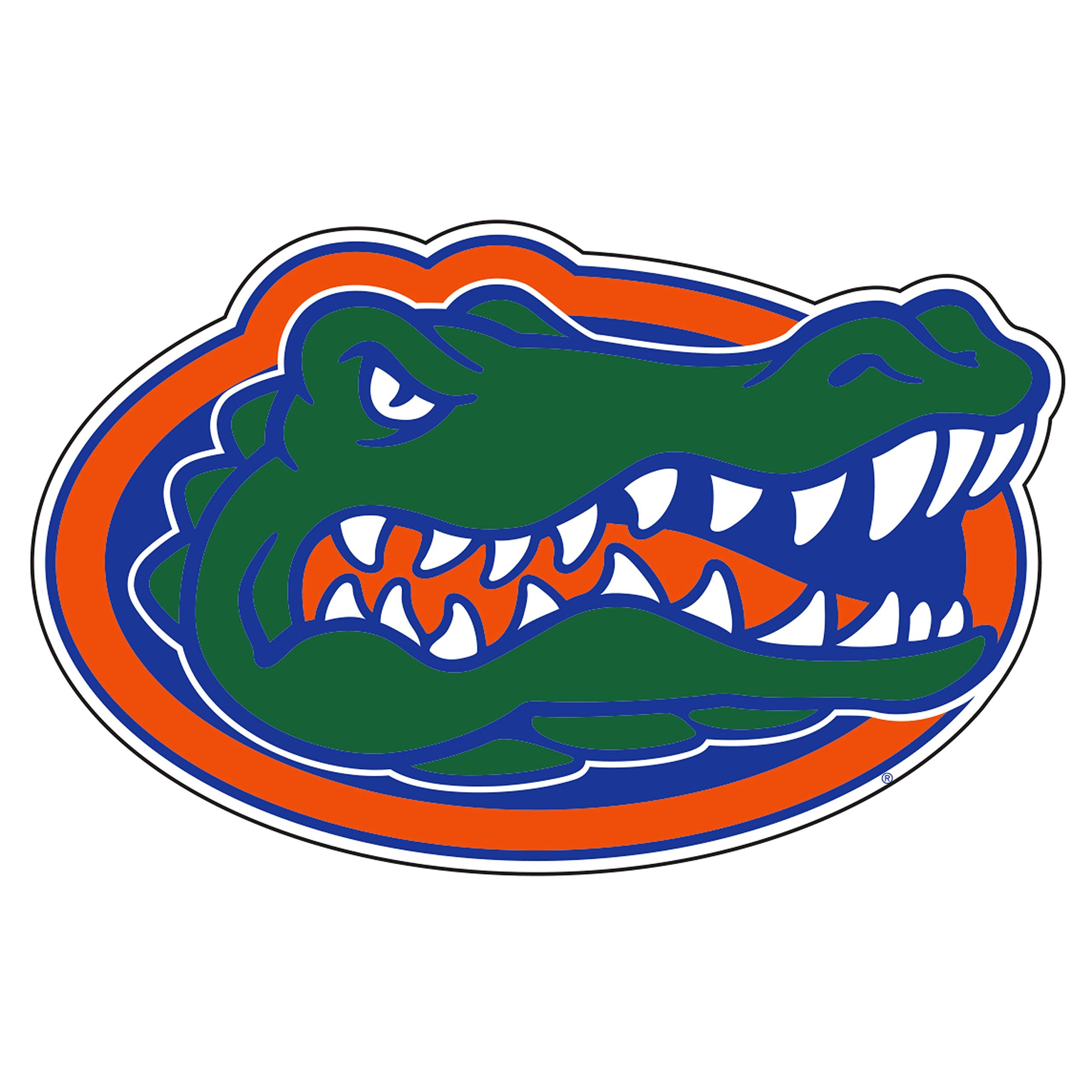 Florida Gators Magnet (GATOR HEAD MAGNET (3