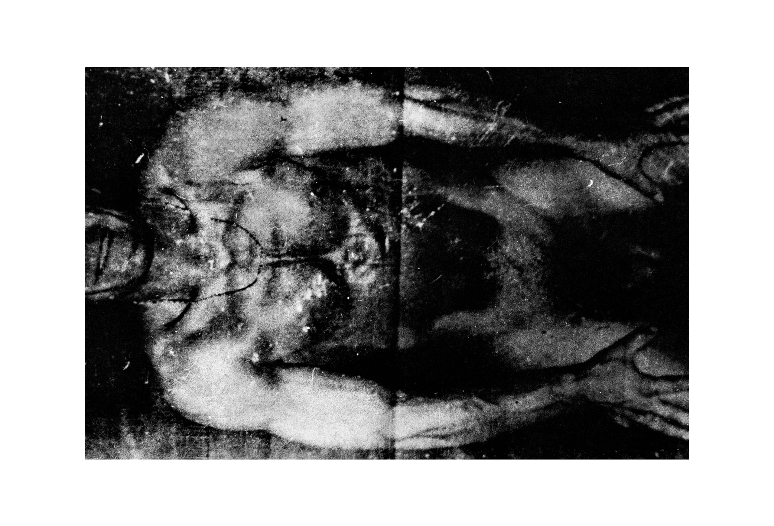 Daido Moriyama: Quartet