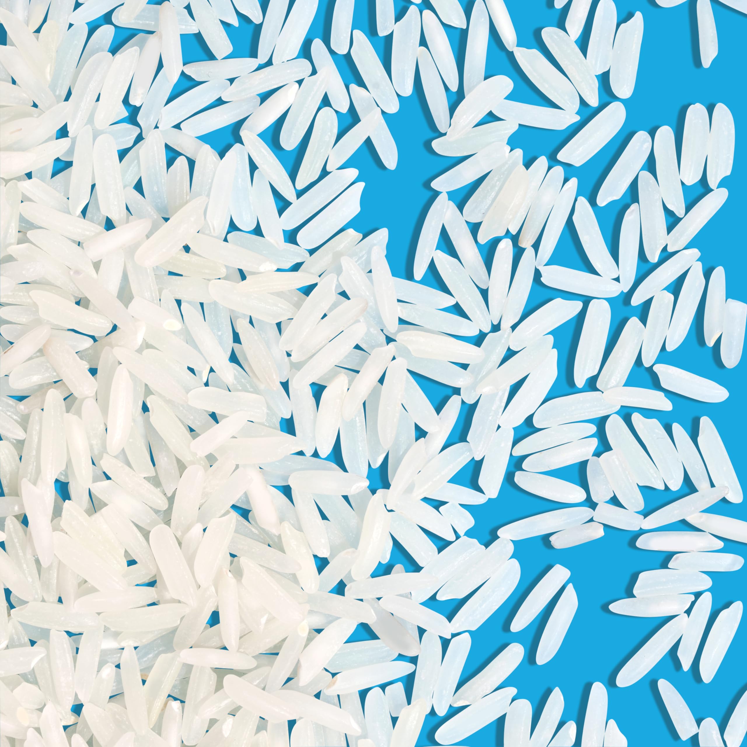 REISHUNGER Basmati Reis Pusa, 600 g inkl. Reisglas für praktische Aufbewahrung, blau