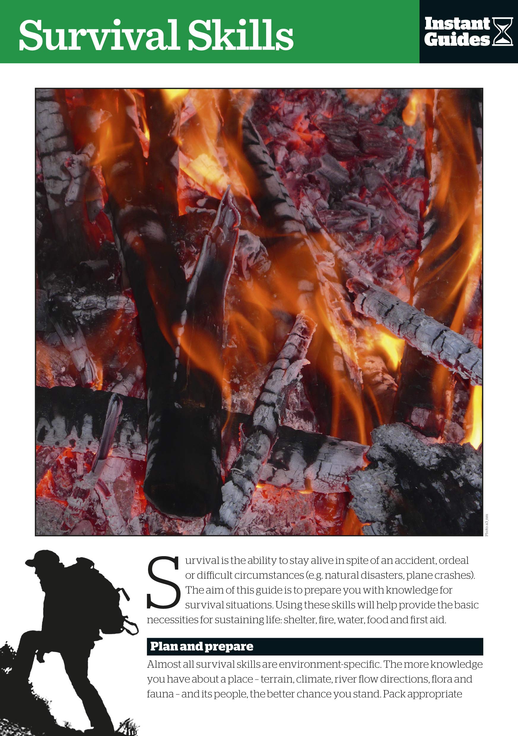 Survival Skills: The Instant Guide