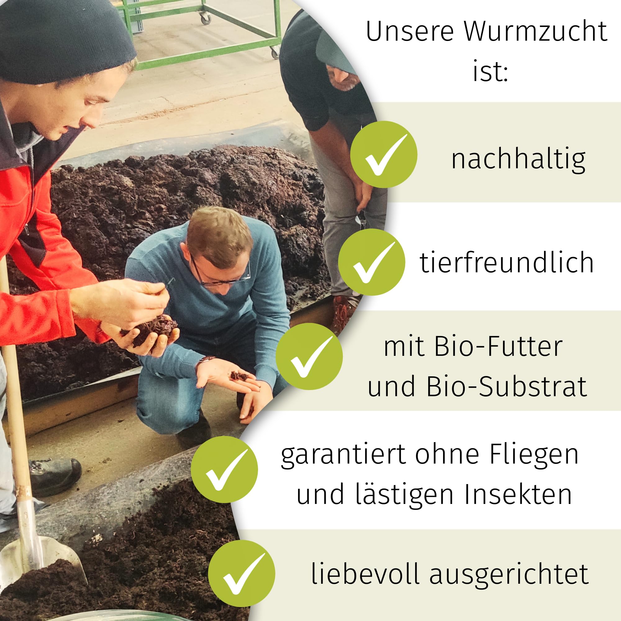 500 Kompostwürmer kaufen in 5L Kompoststarter Substrat - Eisenia Würmer produzieren Wurmhumus