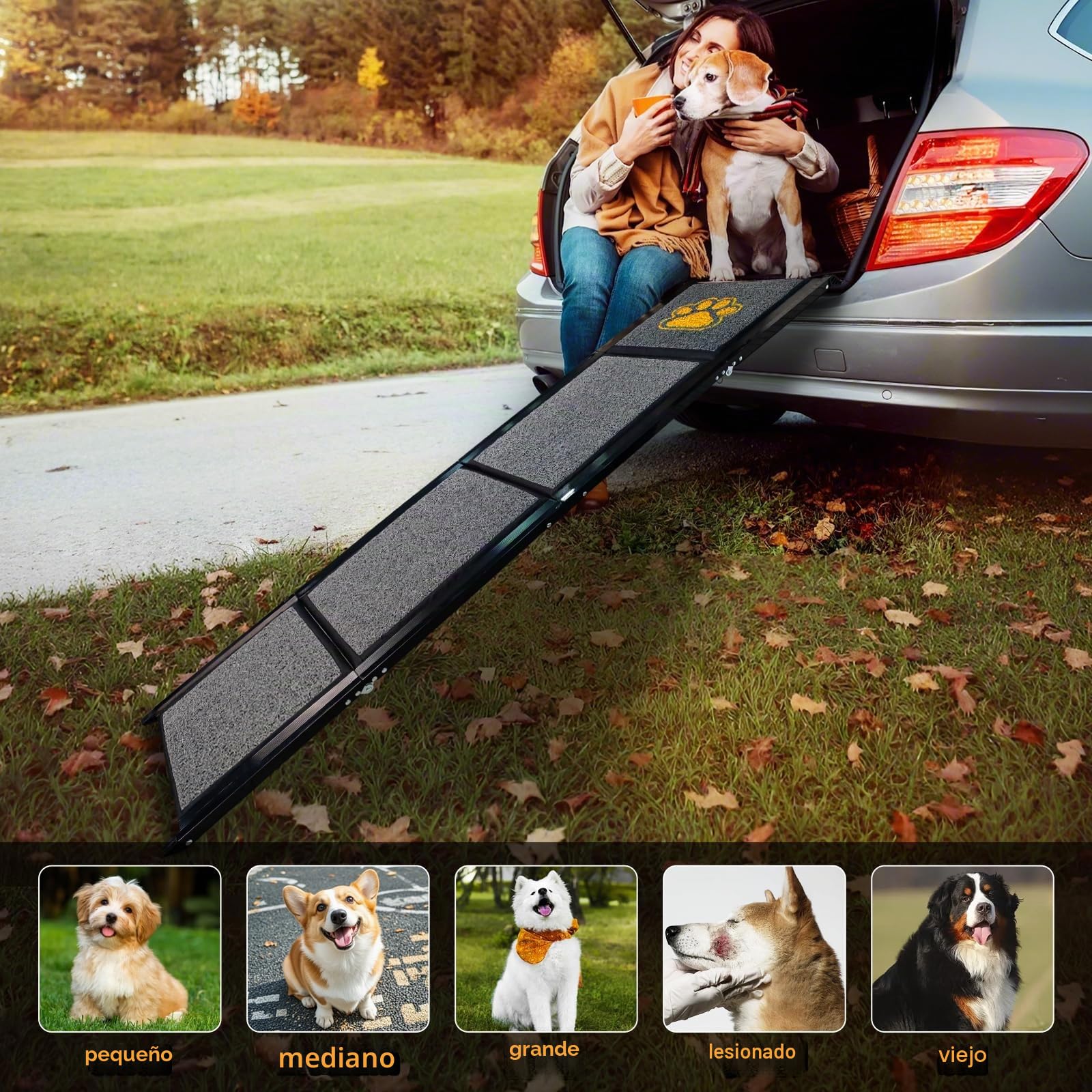 Rampa plegable para perros de 170 cm, para perros grandes, con alfombrilla antideslizante, resistente para coche SUV