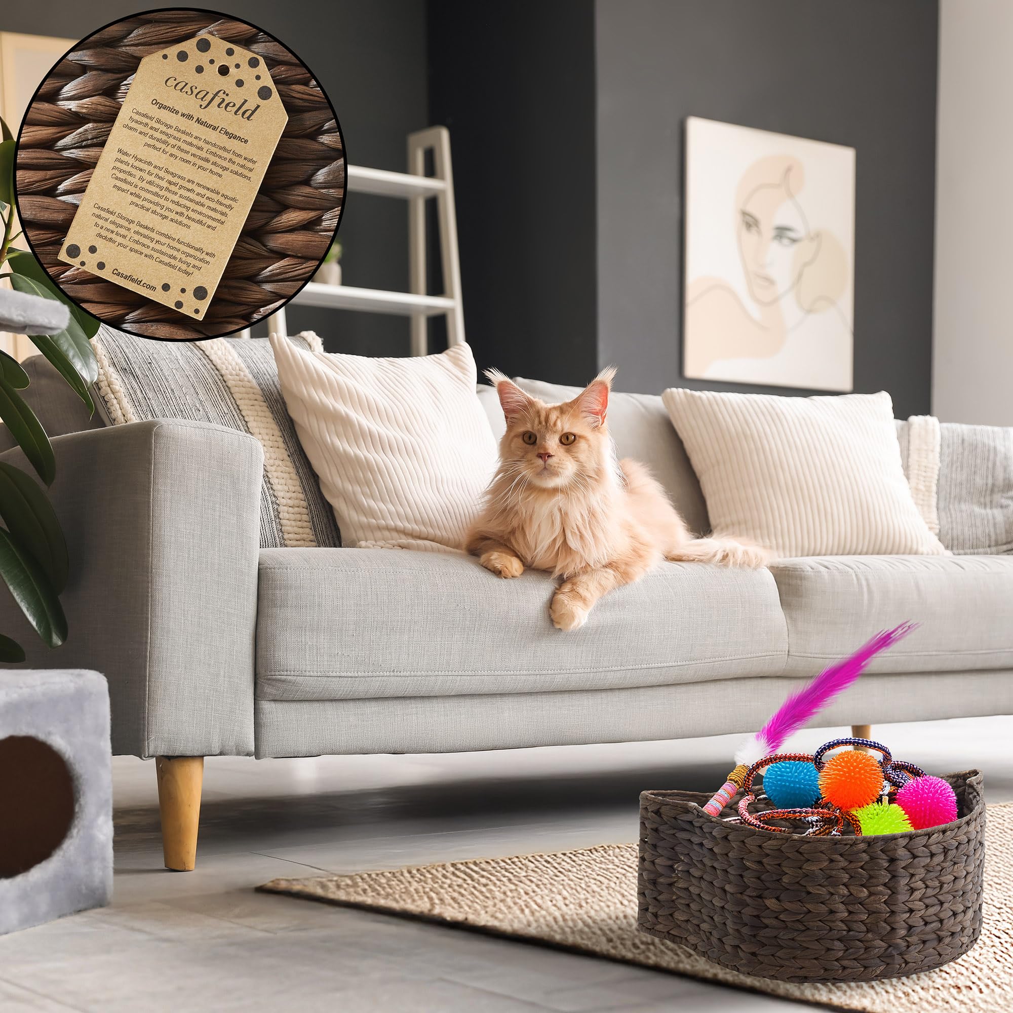 Casafield Cat Toy Storage Basket - Espresso, Woven Water Hyacinth Pet Toy Organizer Bin