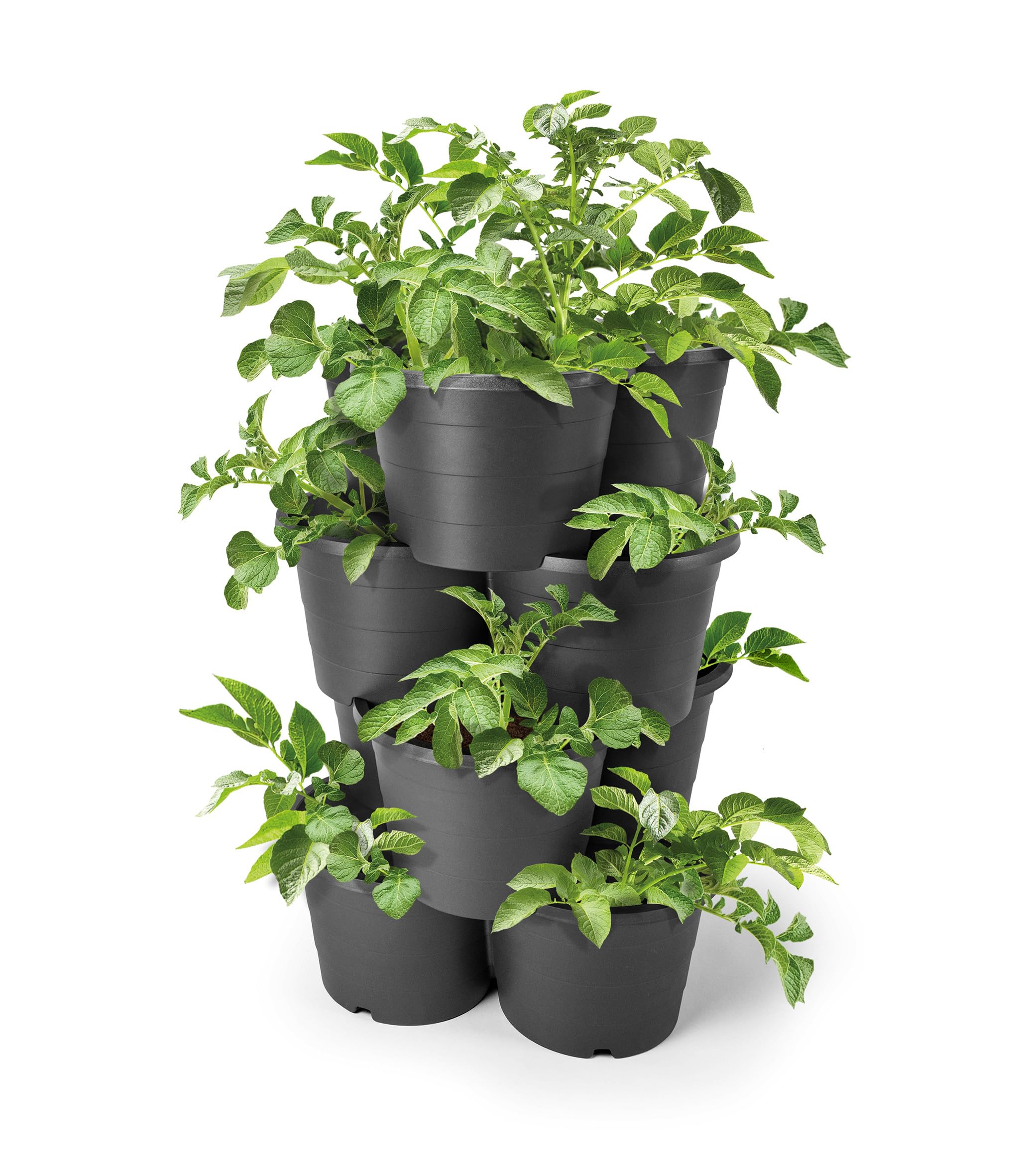 Spetebo Kartoffel und Tomaten Anzucht Pflanzturm 65 x 42 cm - 4er Set - Kunststoff Säulentopf in anthrazit stapelbar - Garten Deko Blumensäule Kräuterbeet Blumentopf Kartoffelturm