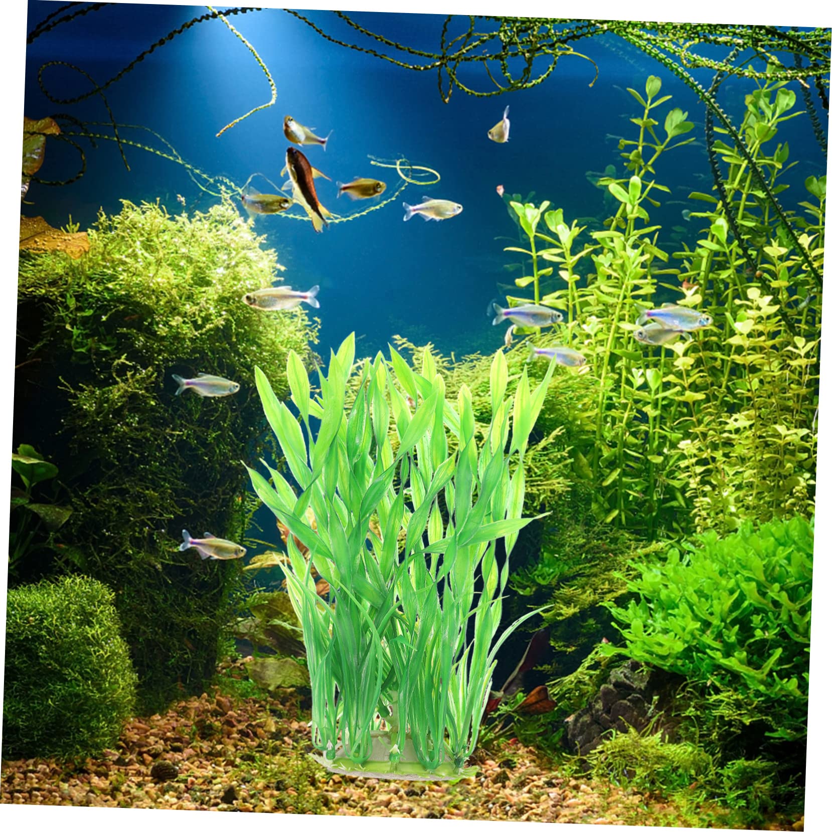 BESPORTBLE 10stücke Aquarium Kunstpflanzen Dekoration Wasserpflanzen Für Betta Fisch Tank Unterwasser Aquarien Zubehör Langlebig Und Farbecht