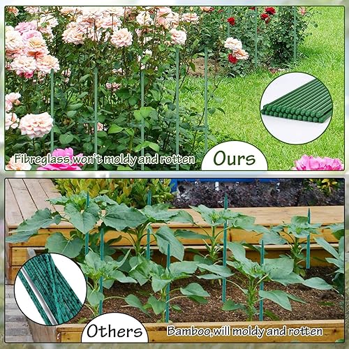 Miniatura 6 de Tetutor Paquete de 25 estacas para plantas, estacas ajustables de soporte para plantas de un solo tallo, soporte de varillas para plantas de jardín