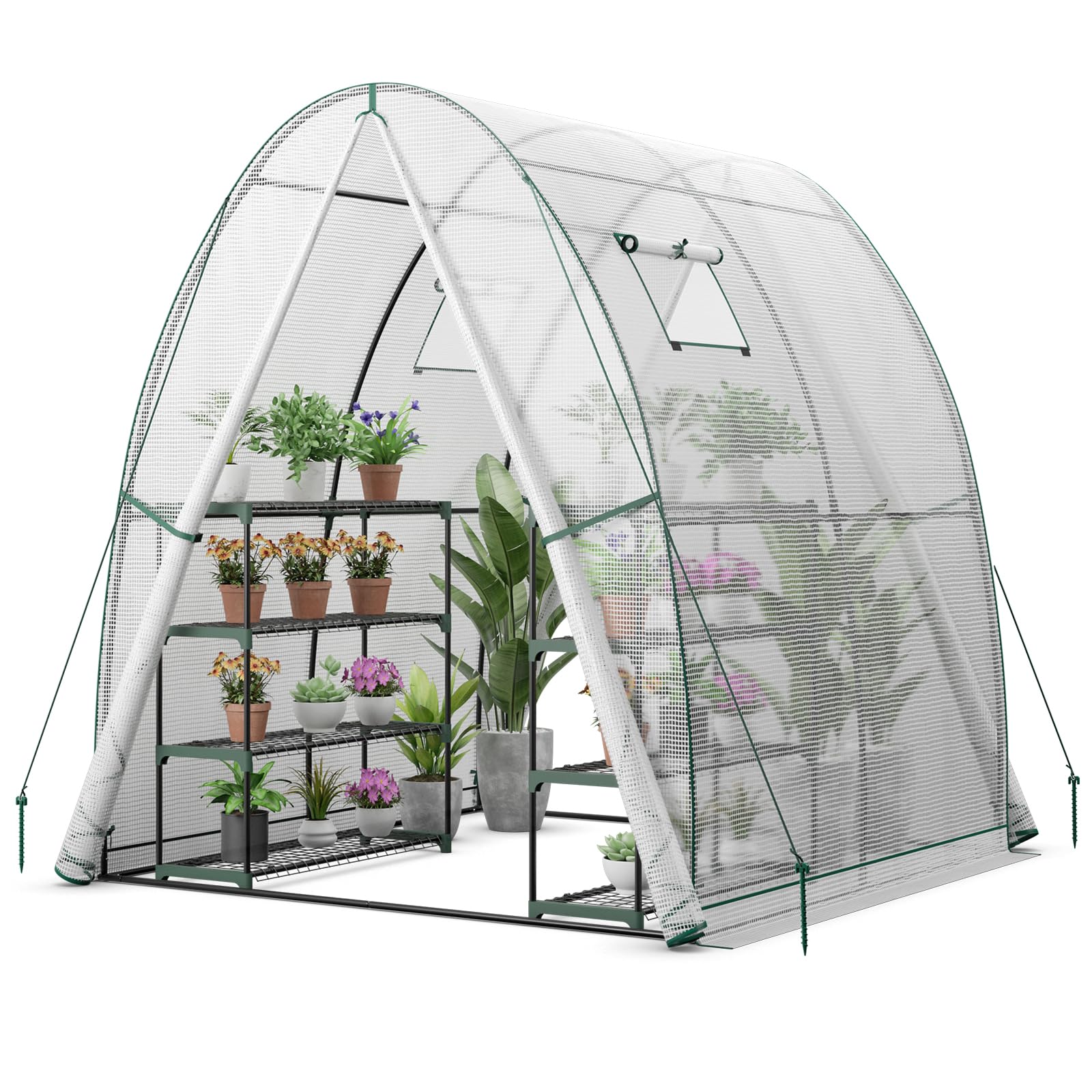 HOMASIS Serra Tunnel con Porta a Rullo e 2 Finestre, Serra da Giardino in PE e Telaio in Metallo, Serra da Balcone per Pomodori, 181 x 181 x 200 cm (Bianco)