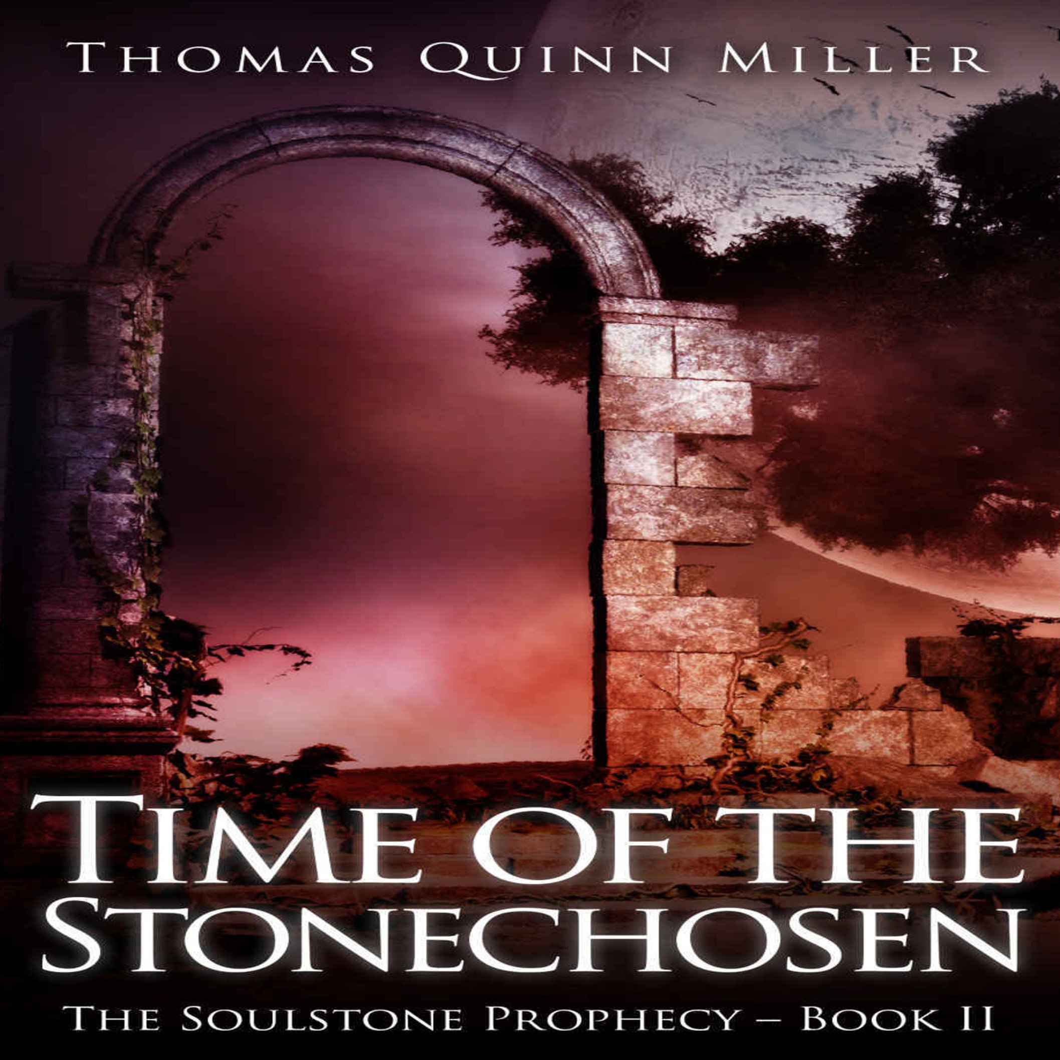 Cover art for Time of the Stonechosen