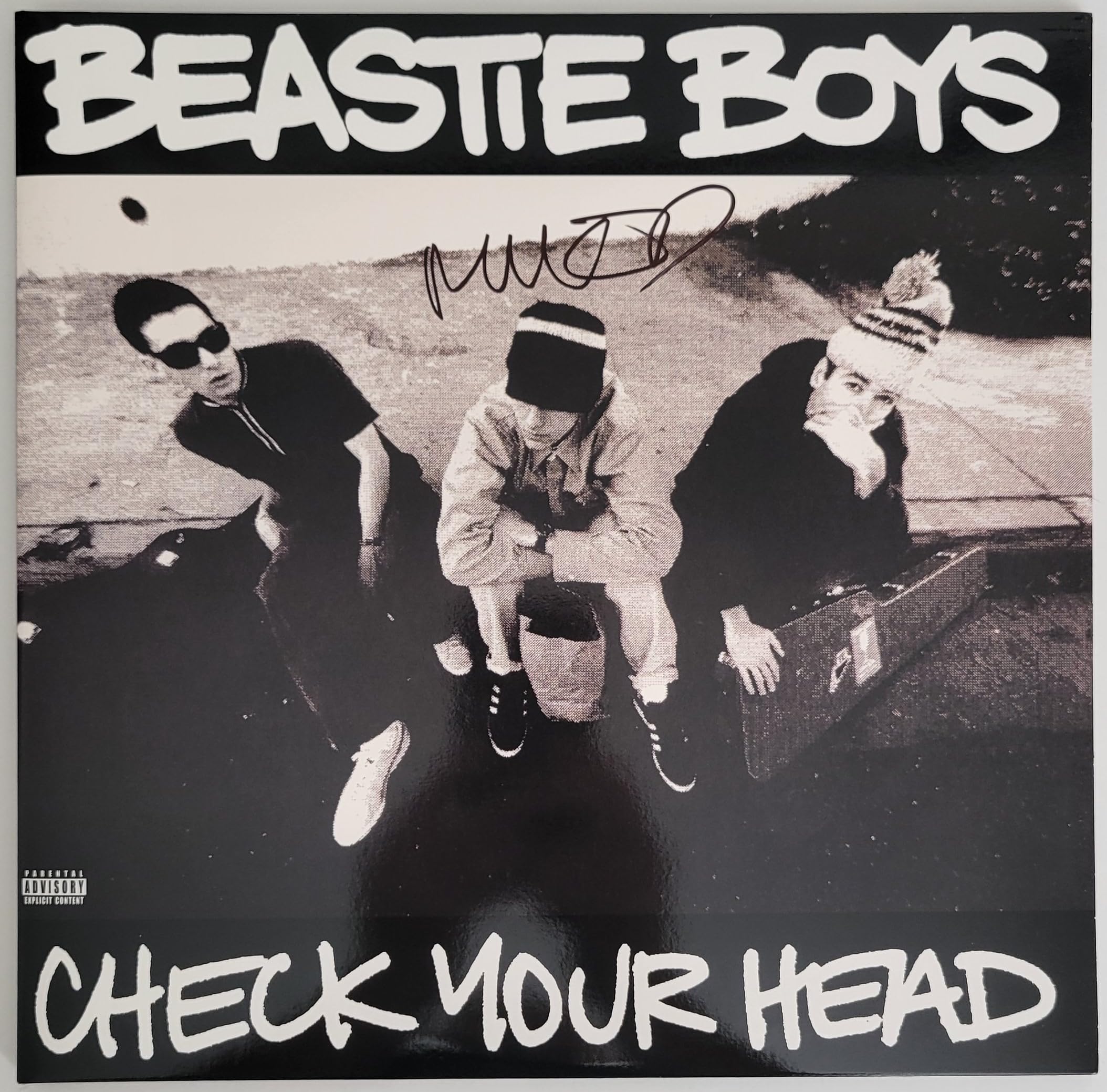 BEASTIE BOYS CHECK YOUR HEAD サイン入り Mike Diamond signed Beastie Boys Check Your Head album vinyl Proof