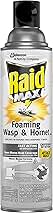 Raid Wasp and Hornet Killer Spray, Kills the entire nest, Kills Paper Wasps, Yellow Jackets, Mud Daubers and more, 13 oz