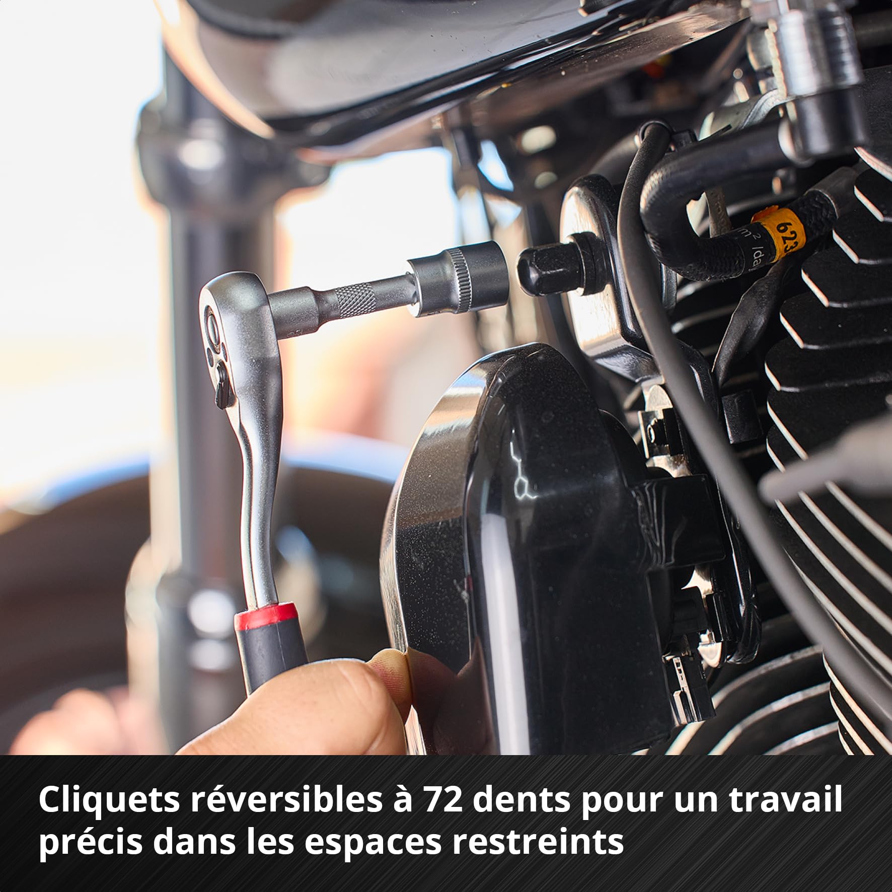 Einhell 233 pièces coffret à outils de mécanicien | Cliquets | clés mixtes | jeu d'embouts | douilles | rallonges | adaptateurs | clés mâles