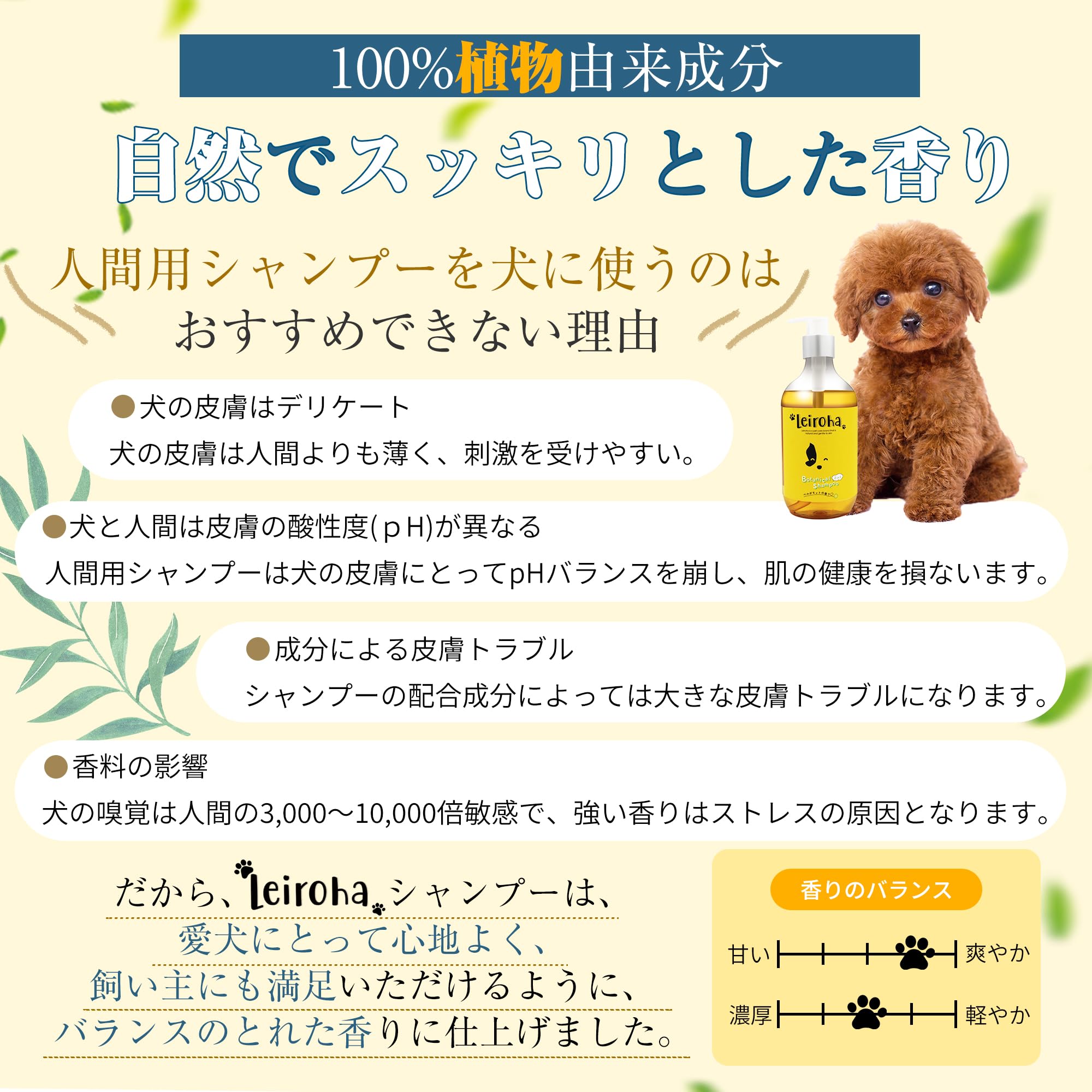 Amazon | Leiroha（リロア） 2in1ボタニカルシャンプー