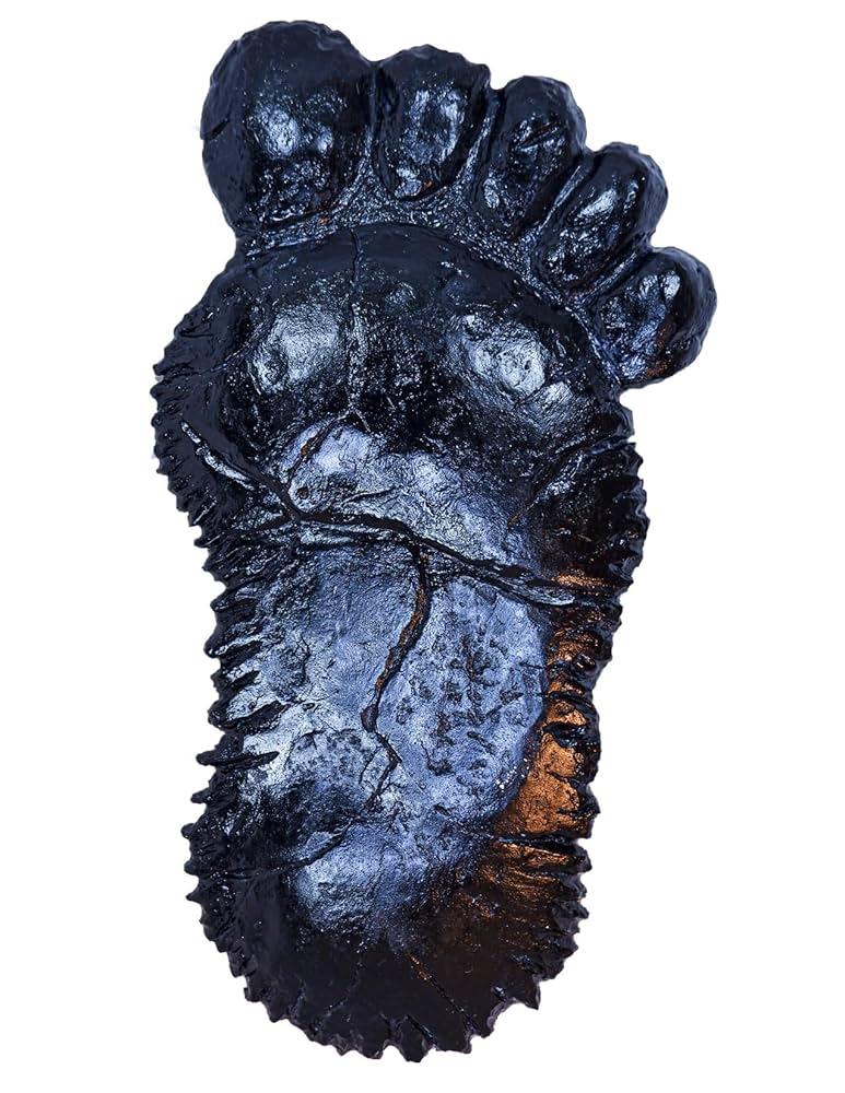 ビック フット BGS big foot Amazon.co.jp: WonderStomp ビッグフット : おもちゃ