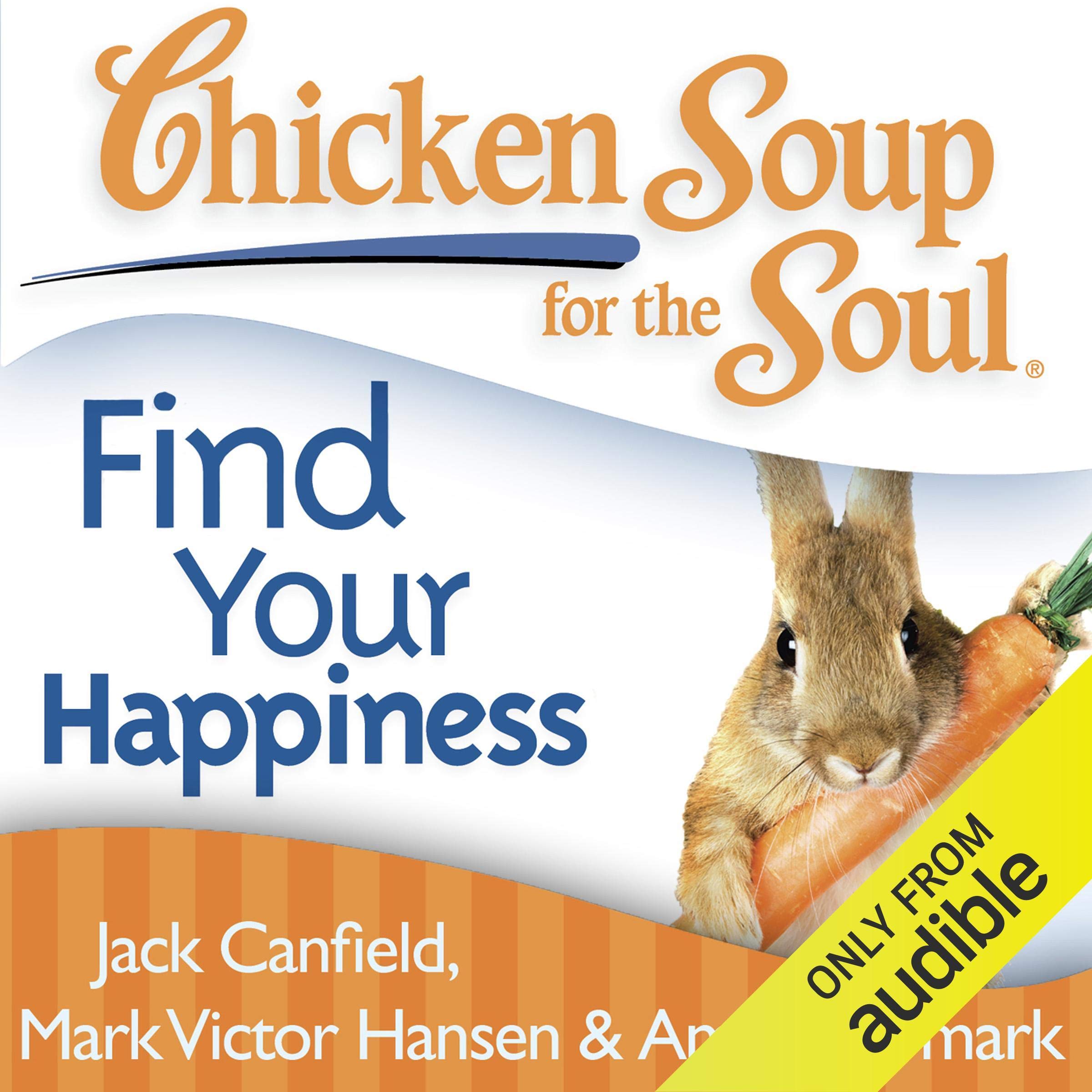 Chicken Soup for the Soul - Find Your Happiness