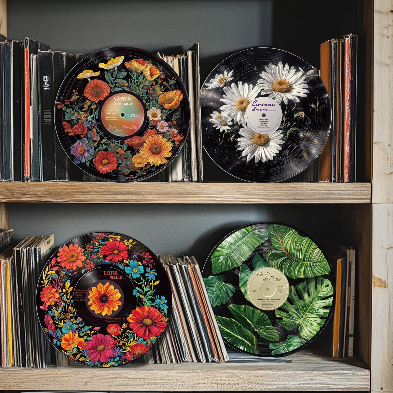 Amazon.com: twinklemon 4PCS Vinyl Record Decor 12 Inch Record