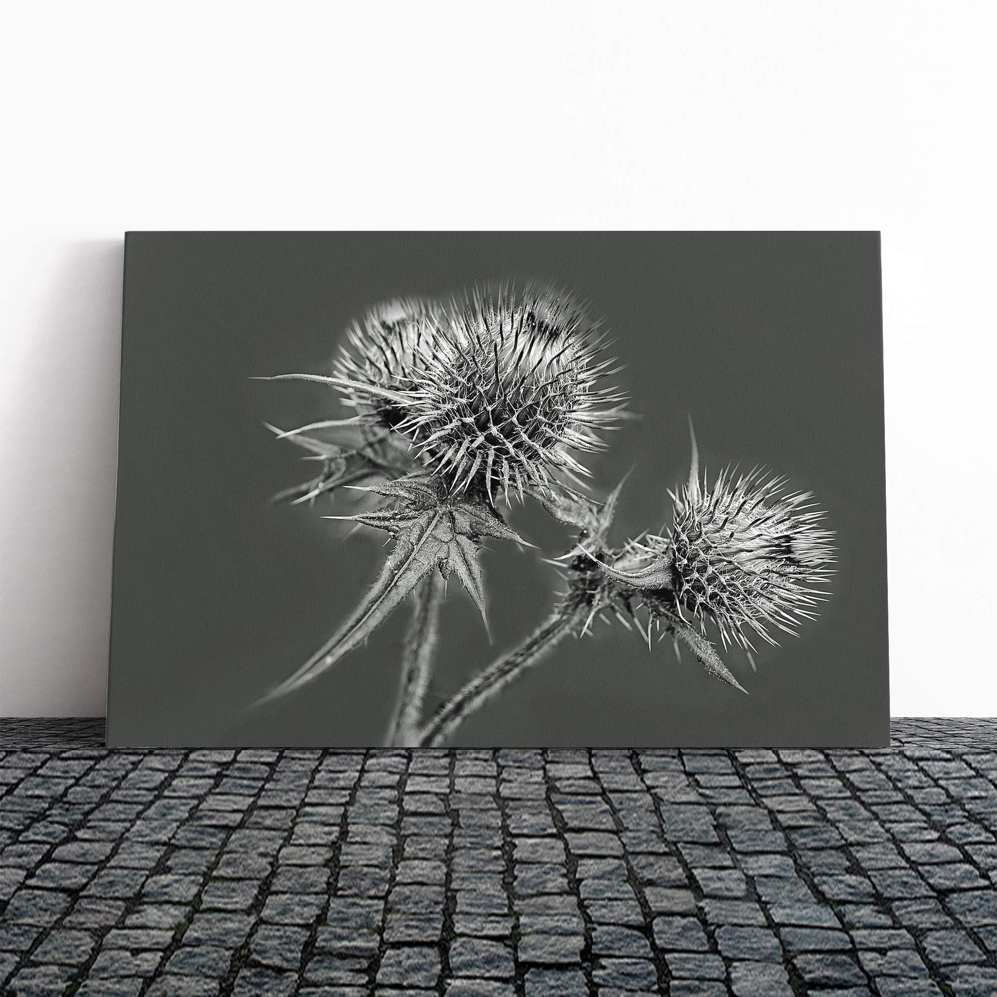 Thistle Flower (2) Canvas Print | Gallery Wrapped 30mm Frame Wall Art | 30x20 inches | Ready to Hang | Modern Floral Picture | Living Room Bedroom Lounge Office
