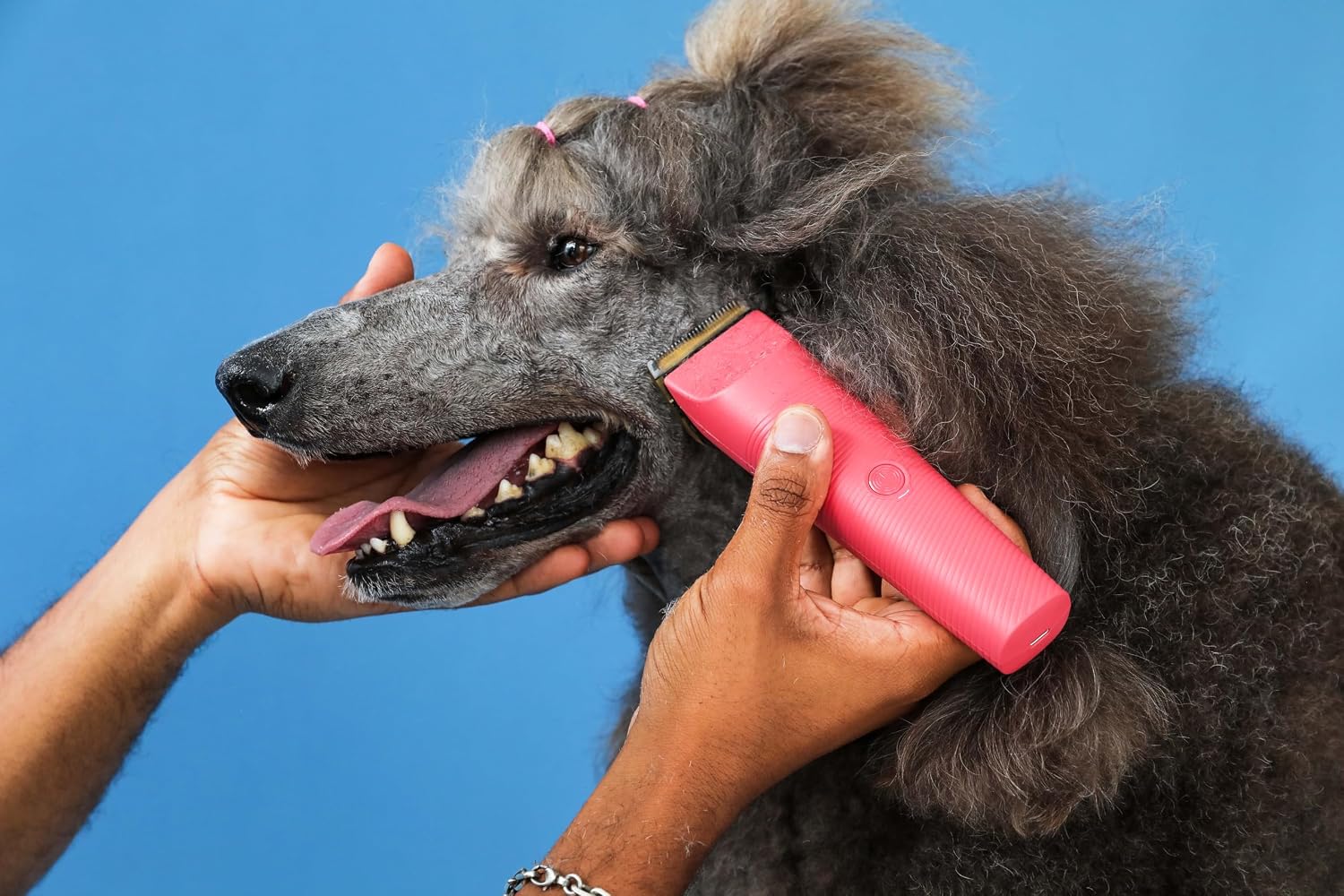 Andis 79125 Vida 5-in-1 Cordless Adjustable Blade Pet Hair Clipper, 11-Piece Kit, Non-Slip Design, Slim Profile, Versitile Fit, Grooming, Raspberry