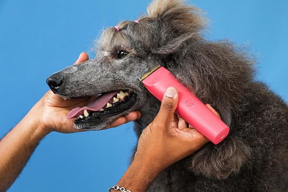 Andis 79125 Vida 5-in-1 Cordless Pet Hair Clipper, 11-Pc Kit, Raspberry