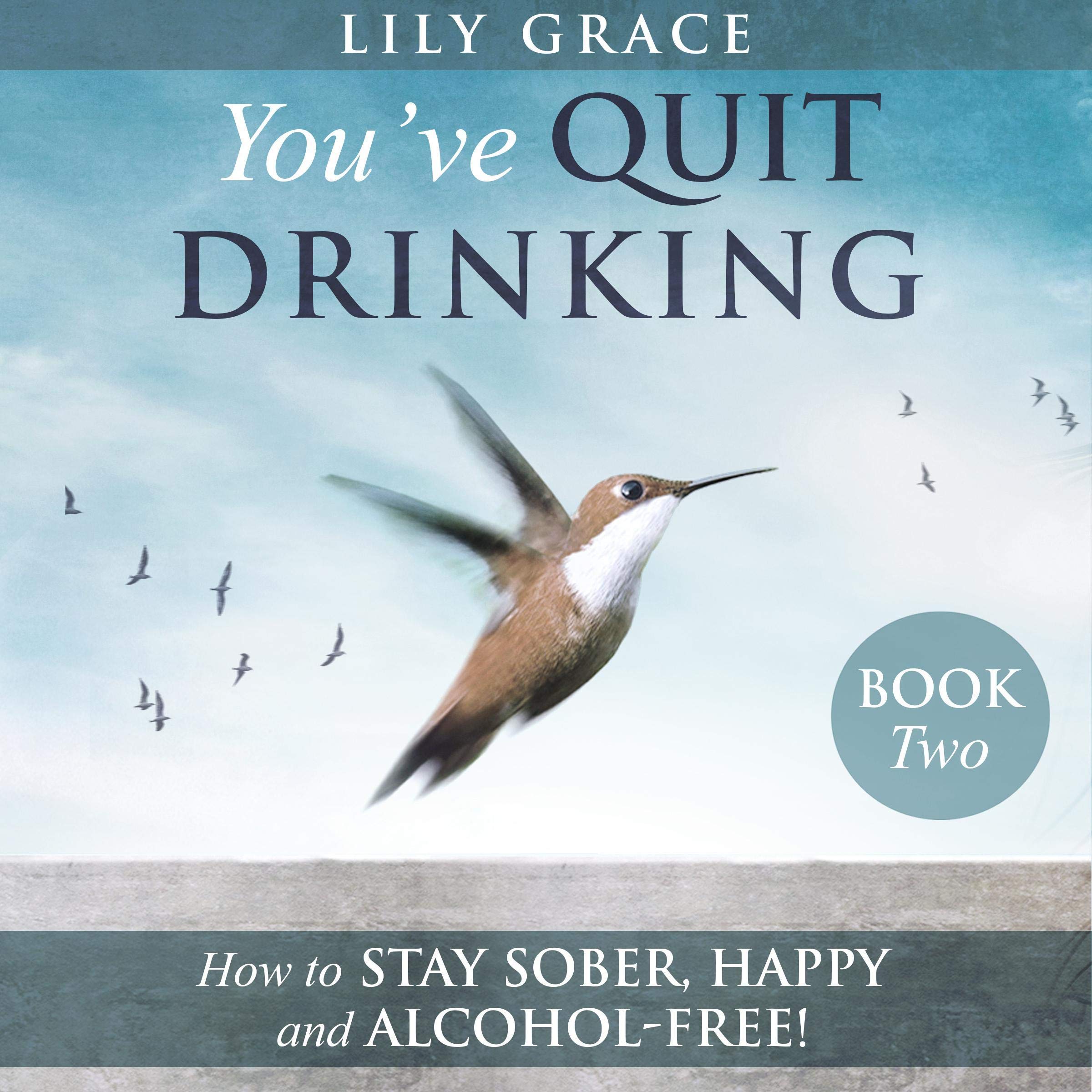 YOU'VE QUIT DRINKING... HOW TO STAY SOBER, HAPPY AND ALCOHOL-FREE!: Book 2 (YOU CAN QUIT DRINKING)