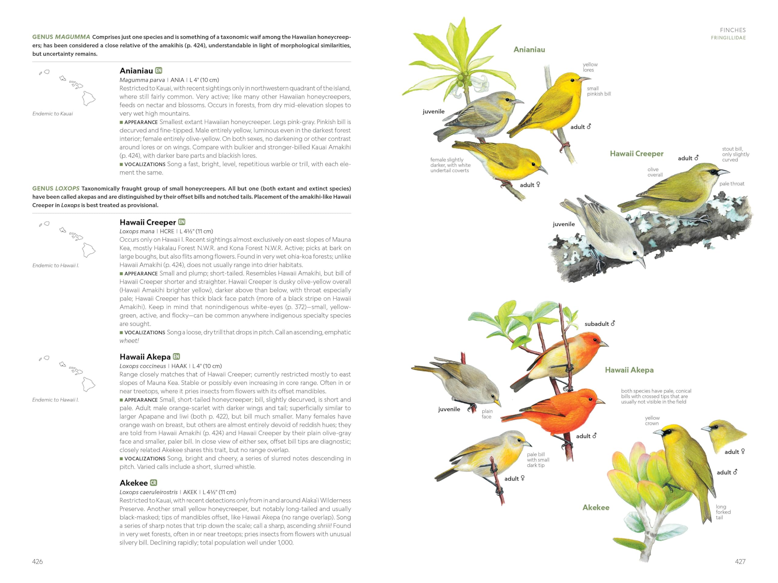 National Geographic Field Guide to the Birds of the United States and Canada, 8th edition