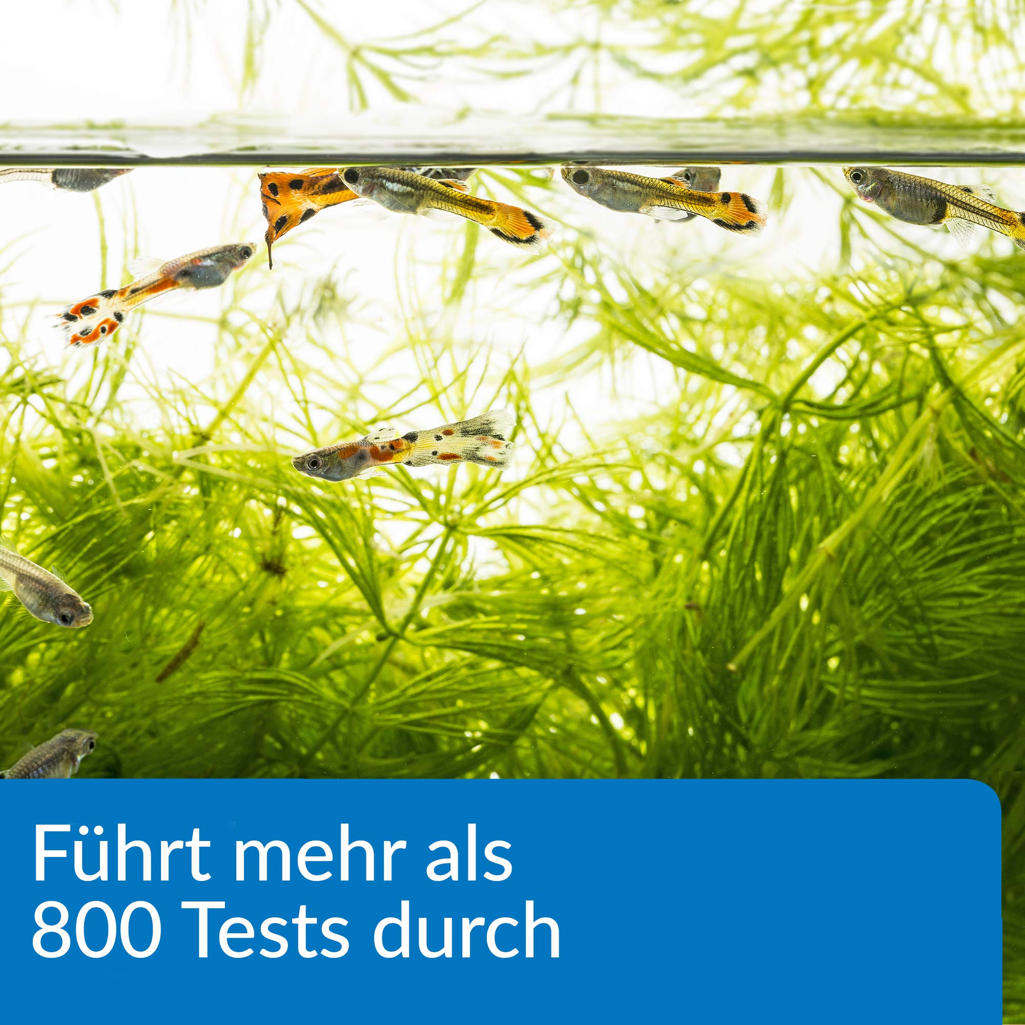 API DE-34 FRESHWATER Master TEST Kit 800-Test Water Master