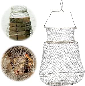 Panier Crabe Pliable 30cm – Épuisette Pêche Télescopique Carpe, Filet Pliant Robuste En Fil D'Acier