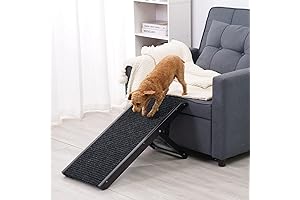 Pet Ramp for Small Dogs, High Bed, 18" Tall