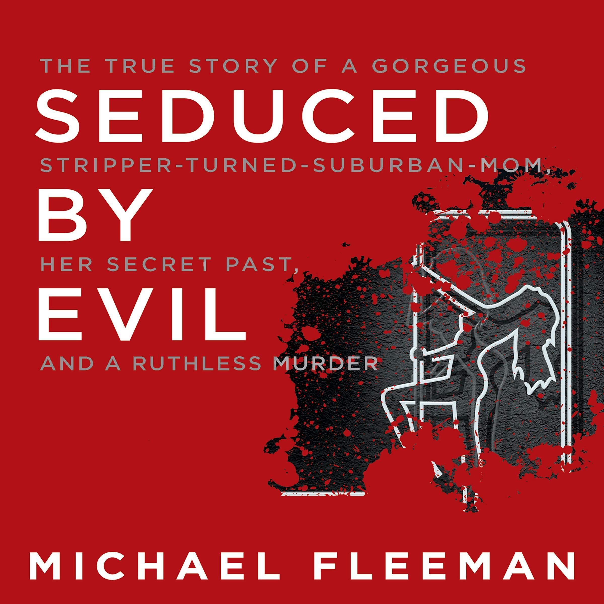 Cover art for Seduced by Evil