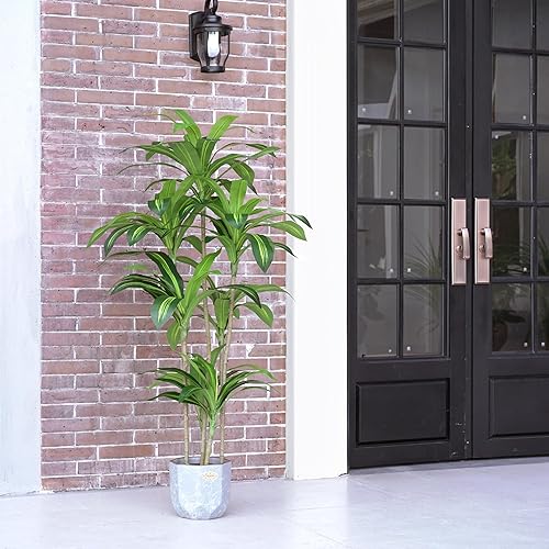 Miniatura 4 de Waoops Dracaena Fragrans - Plantas artificiales de 5.3 pies con 7 cabezas, árbol falso para decoración del hogar, decoración de oficina interior o